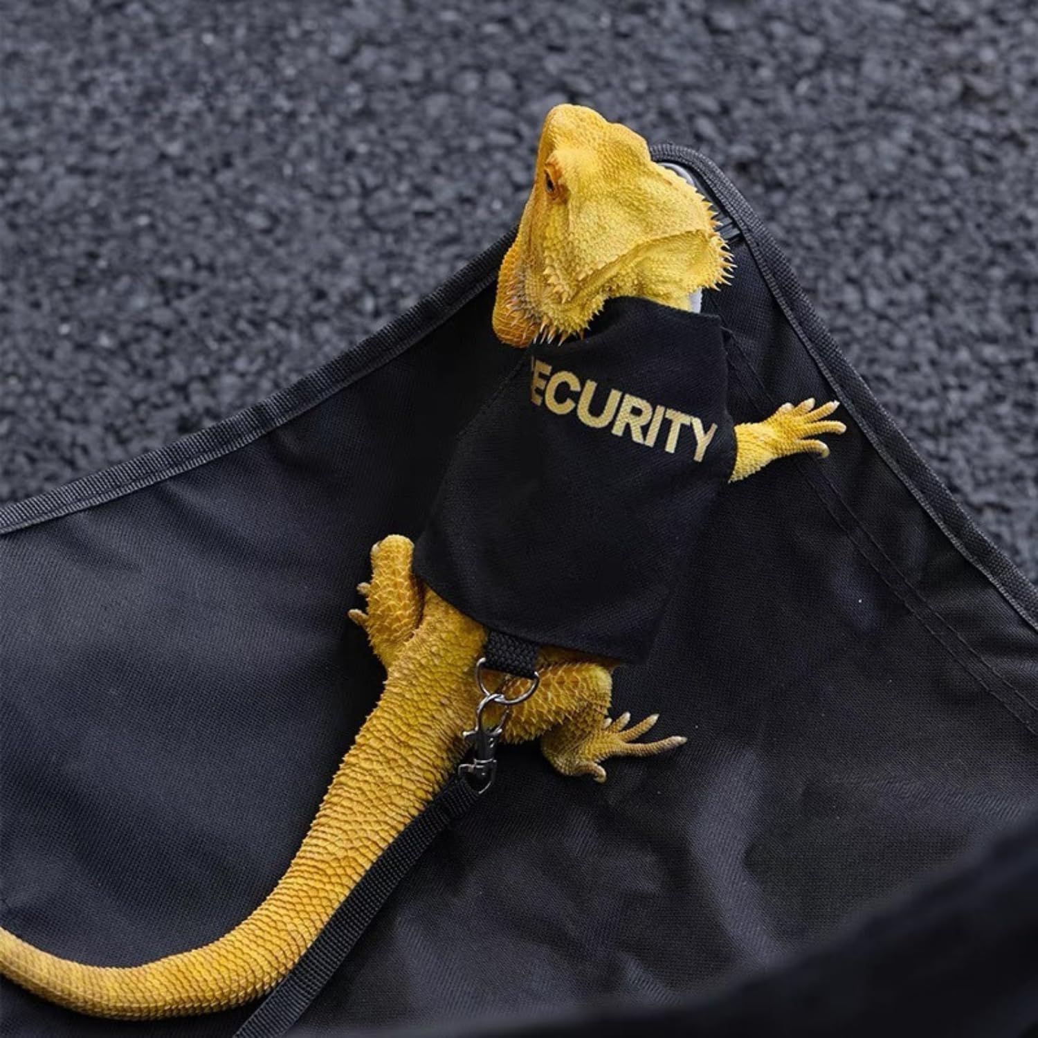 Bearded Dragon Harness and Leash Set - Adjustable Lizard Traction Rope Escape Proof Outdoor Walking Training Leash Reptile Security Costume Accessories for Bearded Dragon Lizard Small Pets (Black)