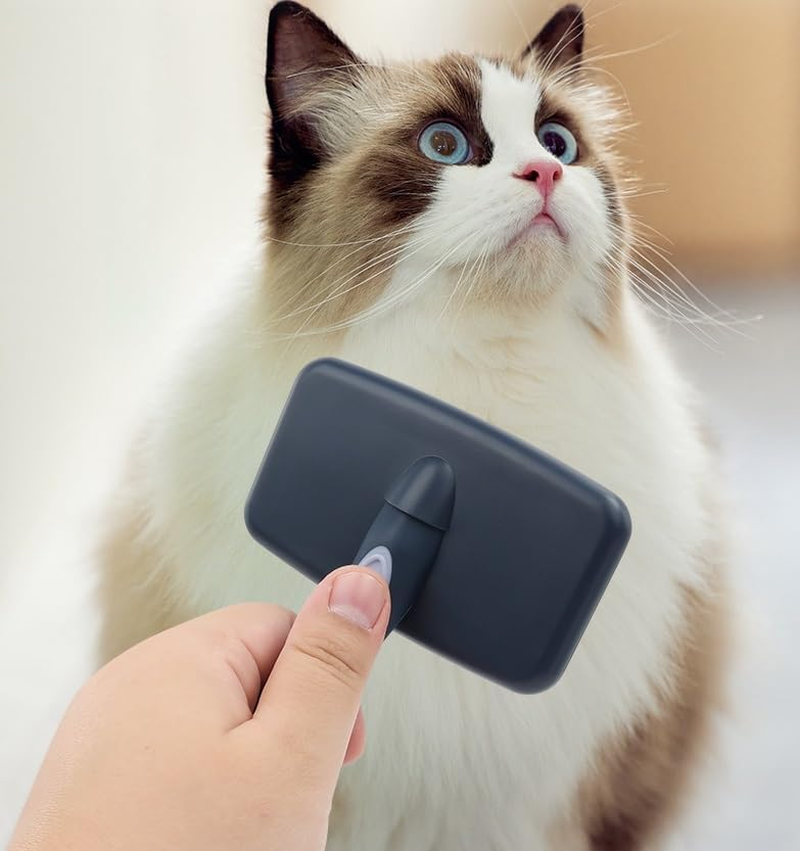 Poodle Brush for Grooming,Slicker Dog Brush for Goldendoodle,Dog Grooming Brush,Pet Dog Slicker Brush for Long Haired Dogs,Removes Loose Hair (Style 1, One Size)