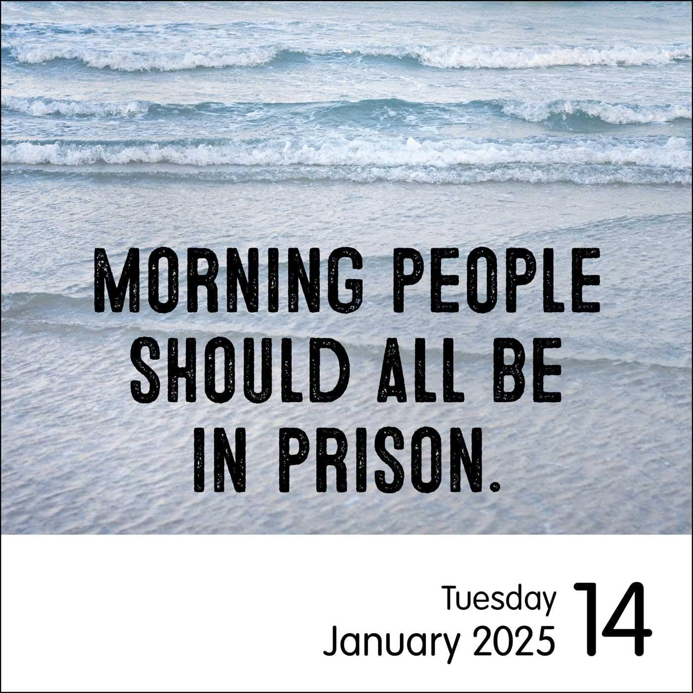 Unspirational 2025 Day-To-Day Calendar: All I Want to Do Is Sleep and Pet Dogs image number 2