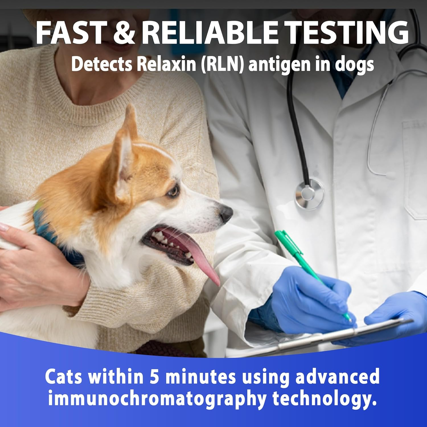 Dog Cat Pregnancy Test Kit at Home &ndash; 2 Tests/Pack for Early Pregnancy Detection in Dogs & Cats ， Canine & Feline Relaxin Test Kit image number 5