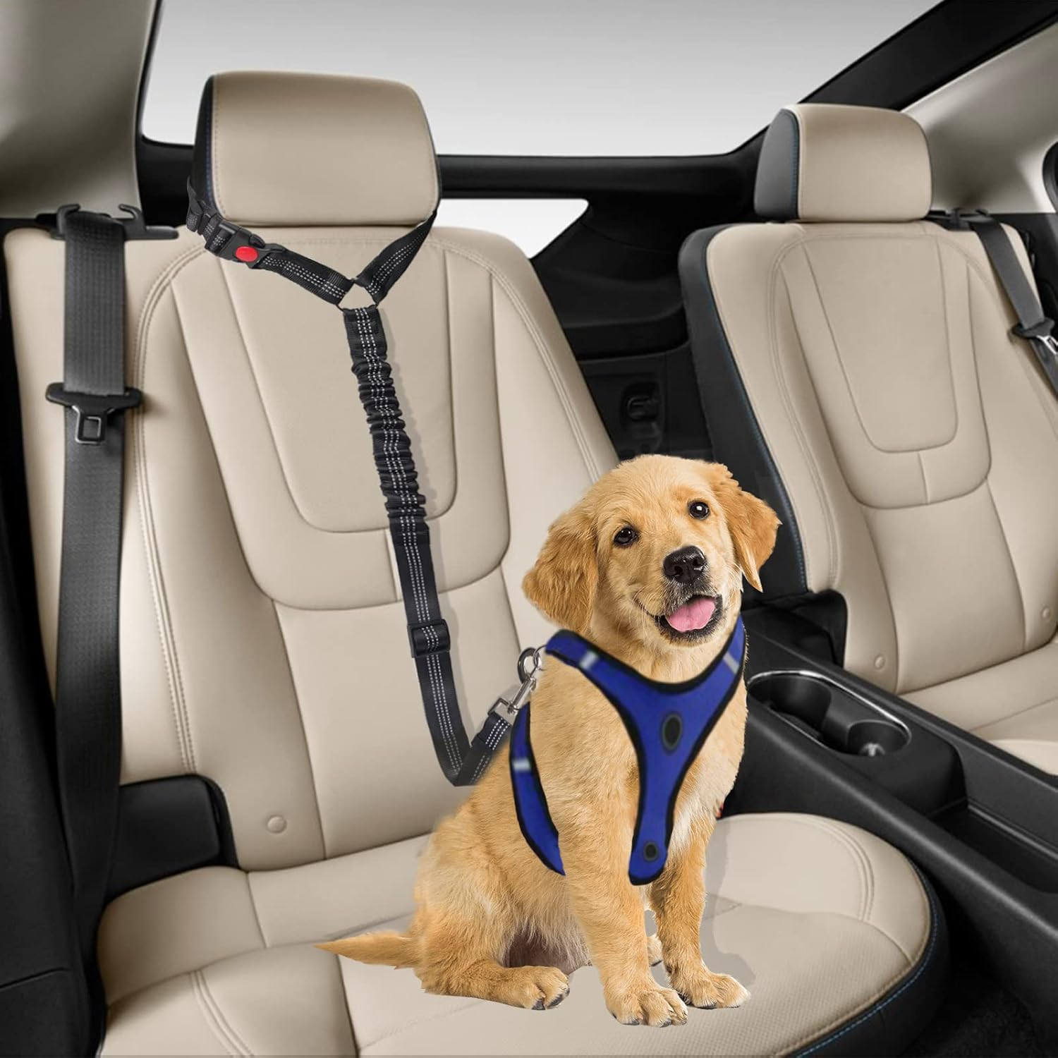 Dog Seat Belt Car - Dog Car Seat Belt for Small Dog Medium-Sized Dog Puppy Dog Car Harness Dog Accessories (Black) - Black image number 5