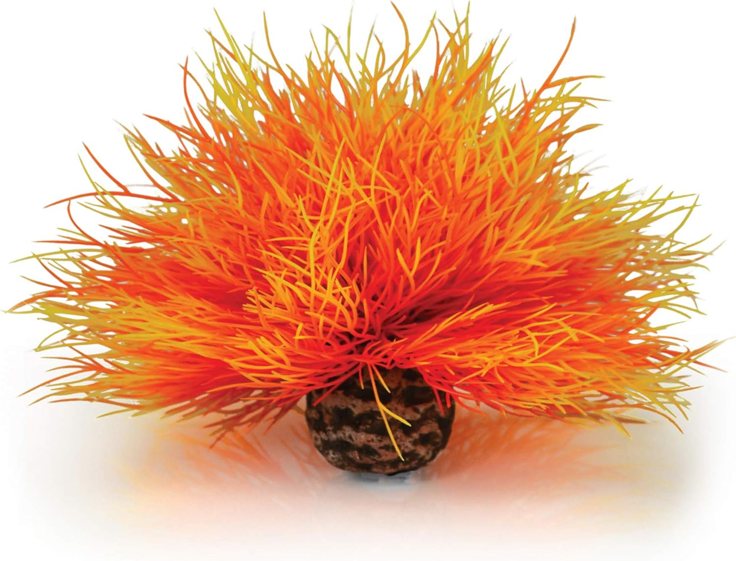 Biorb 46085.0 Aquatic Sea Lily Orange Aquariums image number 3