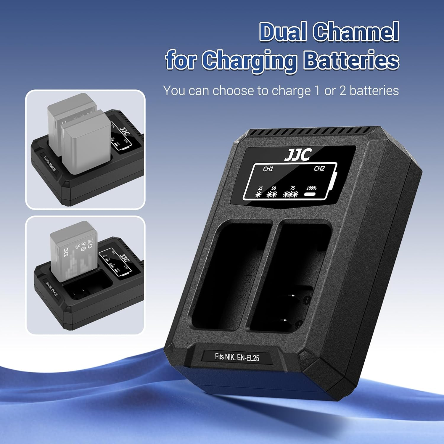 Upgraded NP-FW50 Dual Battery Charger with Type C Port for Sony A6500 A6400 A6300 A6100 A6000 A7S A7RII A7R A7II A7 A7SII A7S RX10 IV RX10III RX10II RX10 NEX-7 NEX-5T SLT-A99II SLT-A33 A35 A37 A55 A58 image number 2