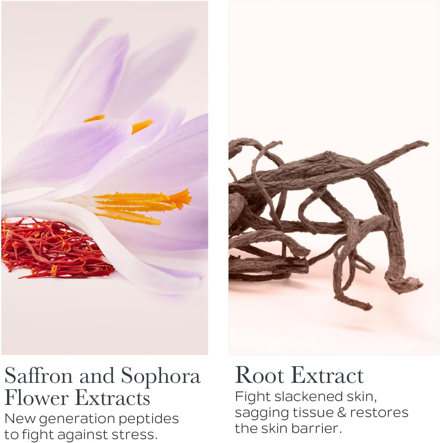 Sothys Restructuring Youth Cream 50Ml/1.69Oz image number 3