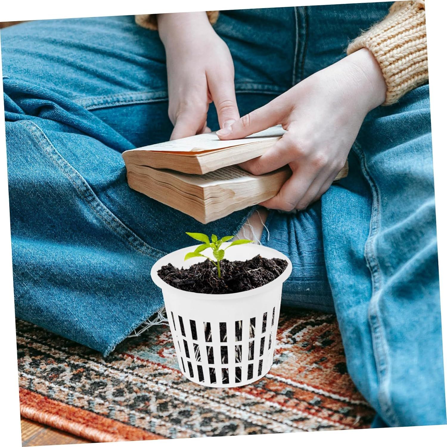 Parliky 10Pcs White Plastic Hydroponic Net Planter Pots Mesh Nursery Baskets for Orchids and Aquatic Plants Root Control Indoor Gardening Grow Supplies