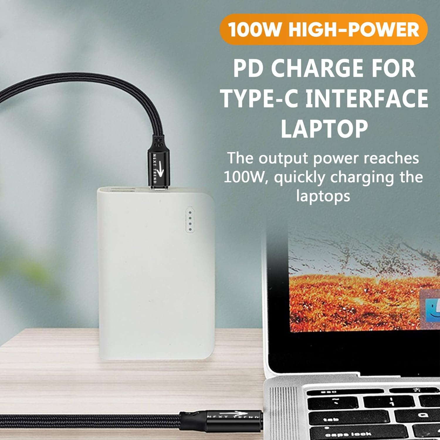 Next Trend Dot USB C to USB C Cable (2-Pack) 1M, 100W/5A Fast Charging, PD, Black image number 3