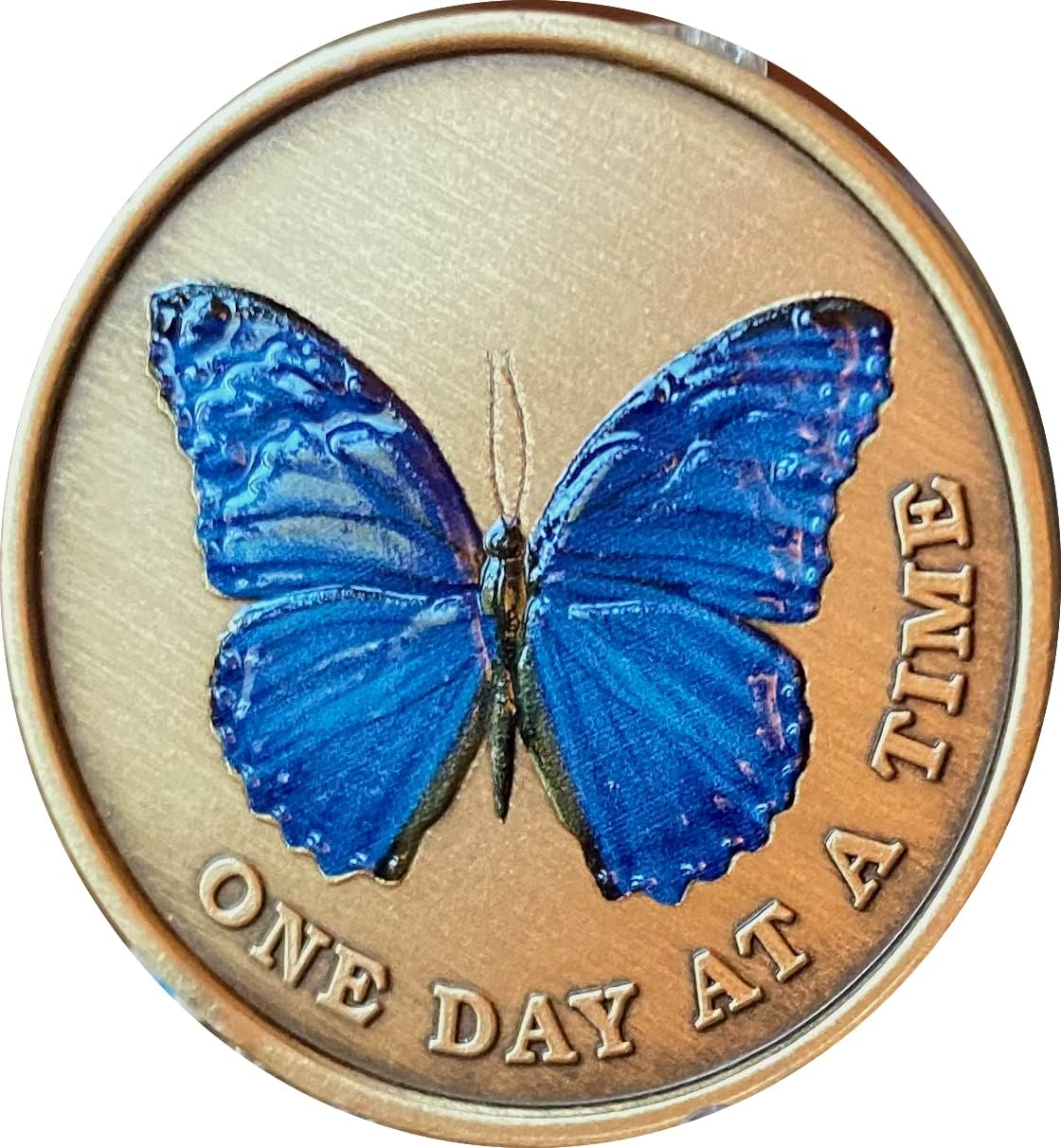 Blue Color Butterfly One Day at a Time Medallion Serenity Prayer Bronze Chip image number 1