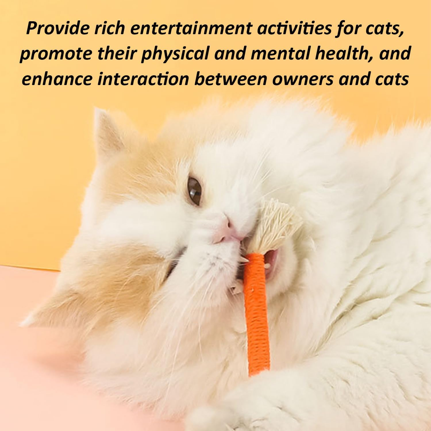 HDGSAFD 5 Cat Bite Ropes and 4 Feather Toys, Interactive Toy for Pets, Creative and Fun Design, Suitable for Cat Entertainment. image number 3