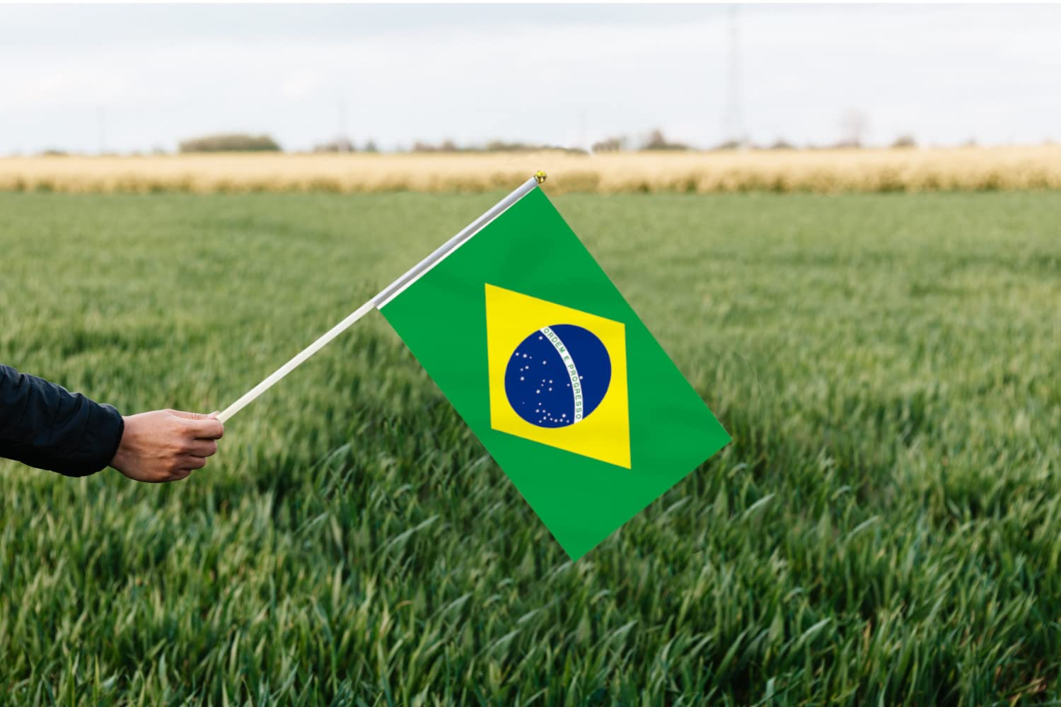 10 PCS Handheld Brazil Flag,8.5&times;5.5 Inch Hand Held Mini Brazilian Flags Banner for Indoor Outdoor Parade Waving the Tlag and Shouting