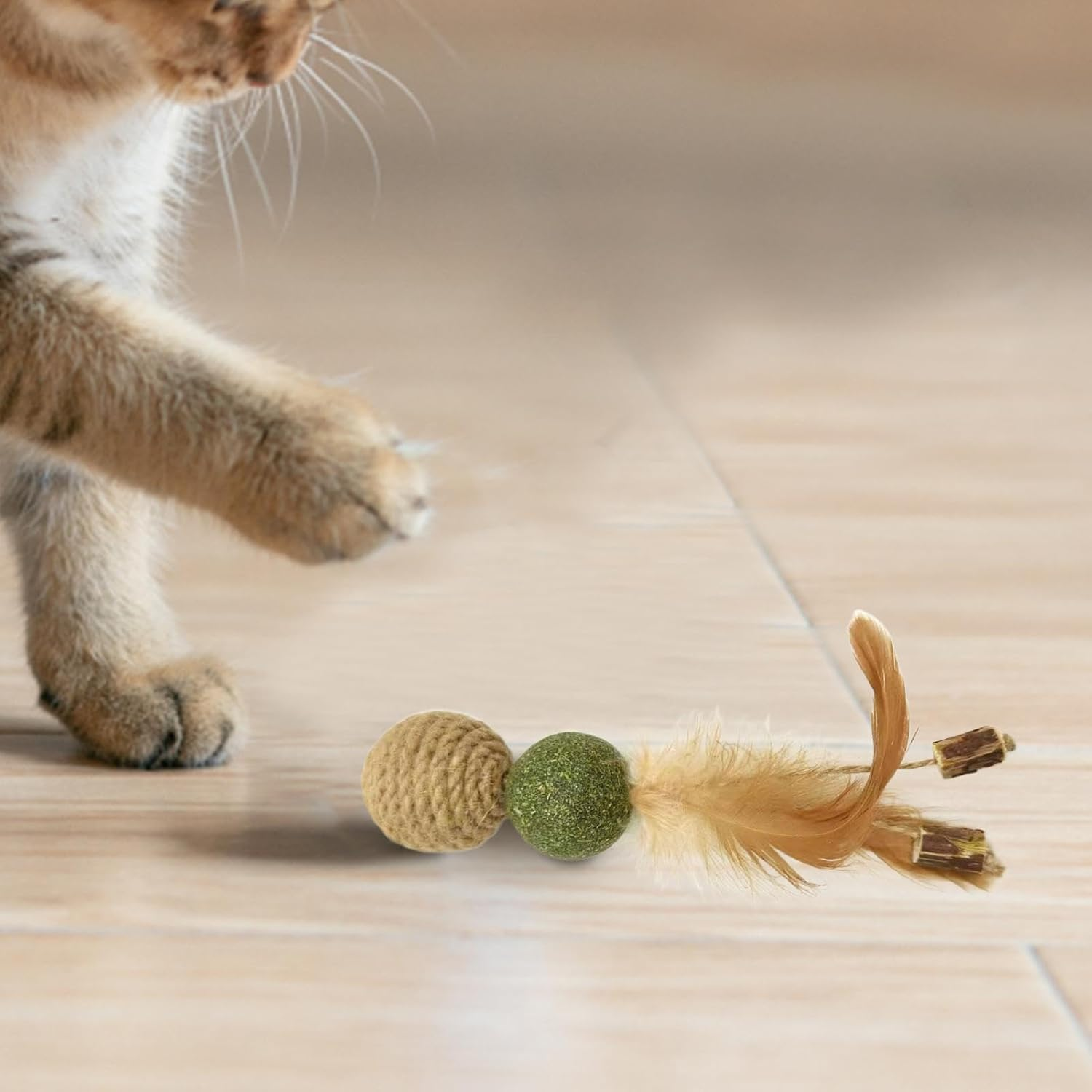 Furtryvl Interactive Cat Toy with Feather - Catnip Kitten Toy - Pet Training Tool for Boredom and Stimulating, Interactive Kitten Playing Ball