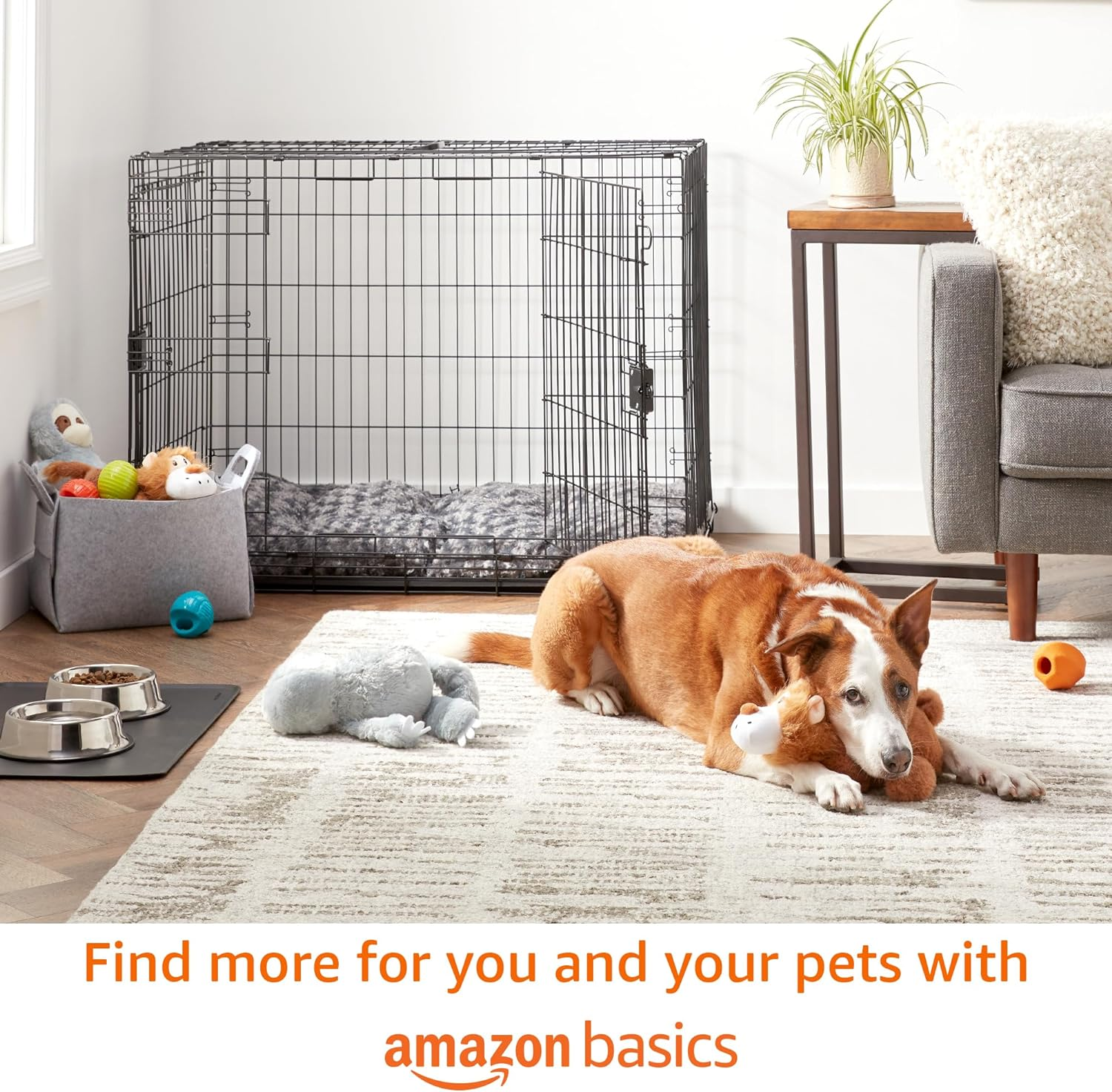 Amazon Basics Dog Poop Bags with Dispenser and Leash Clip, 33.02 X 22.86 CM, Brazilian Mango Scented - 270 Bags (18 Rolls) image number 3