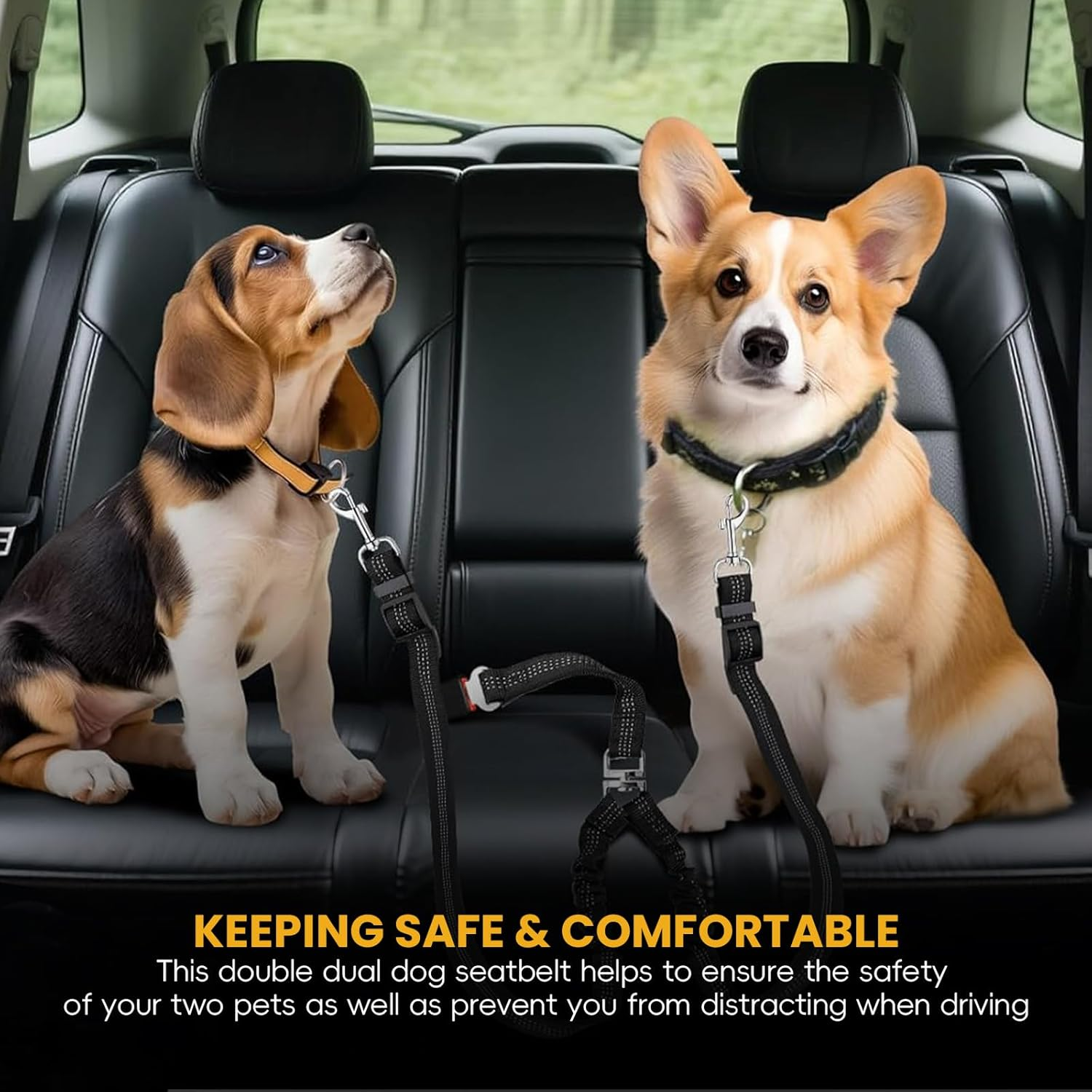Double Dog Seatbelt - Dual Pet Car Seat Belt Adjustable Double Dog Coupler Lead with Elastic Bungee and Adjustable Dual Pet Car Seat Belt with Elastic Bungee & Reflective Stripe