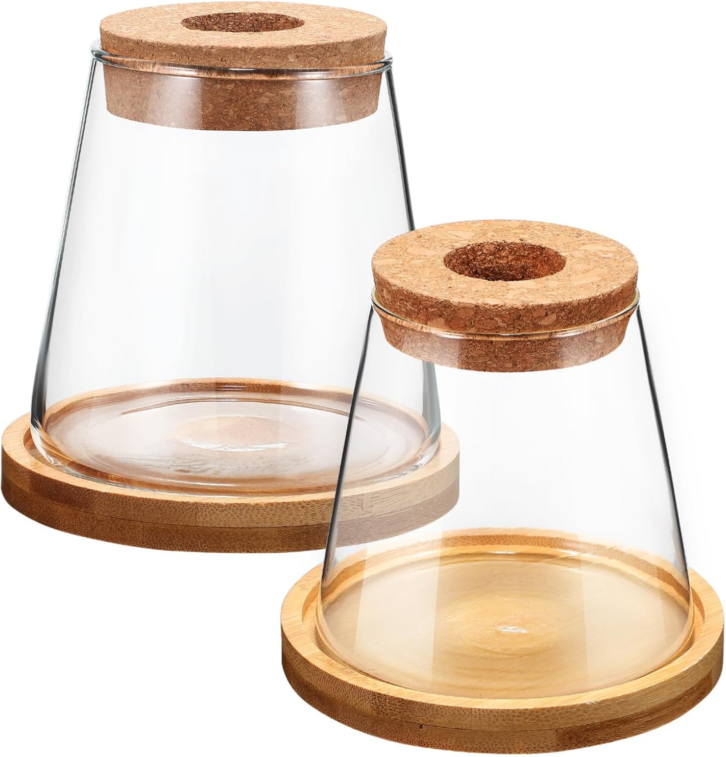 COHEALI 2Pcs Clear Glass Propagation Station with Base Transparent Water Planter Bottles for Hydroponic Plants Compact Vases for Indoor Desk Apartment Office Decoration image number 6