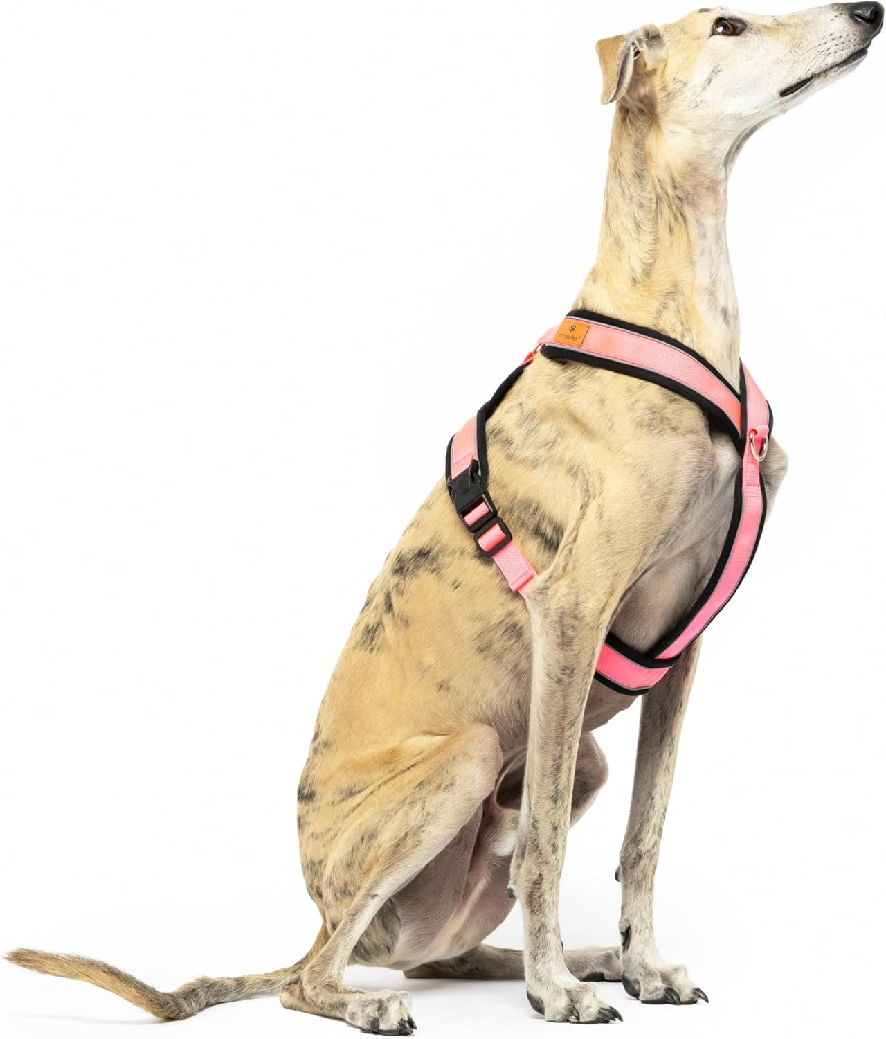 Reflective Y Shaped Dog Harness Ideal for Libreles: Italian Greyhound Whippet Greyhound Podenco - Safe, Breathable and Durable, Perfect for Hiking, Training and Running, Pink, M image number 1
