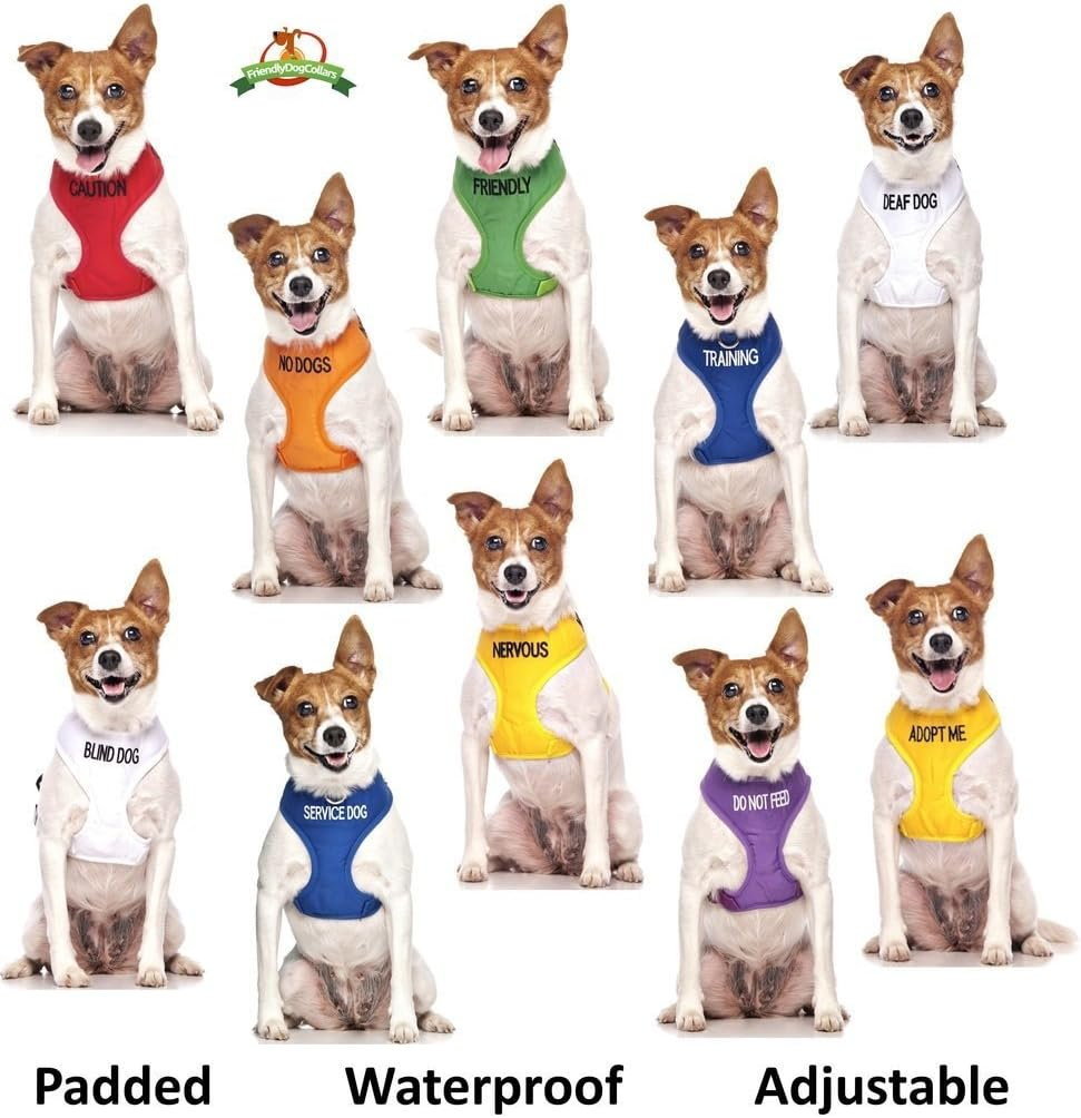 "Nervous" Yellow Color Coded Small Vest Dog Harness (Maybe Unpredictable) Prevents Accidents by Warning Others of Your Dog in Advance! image number 6