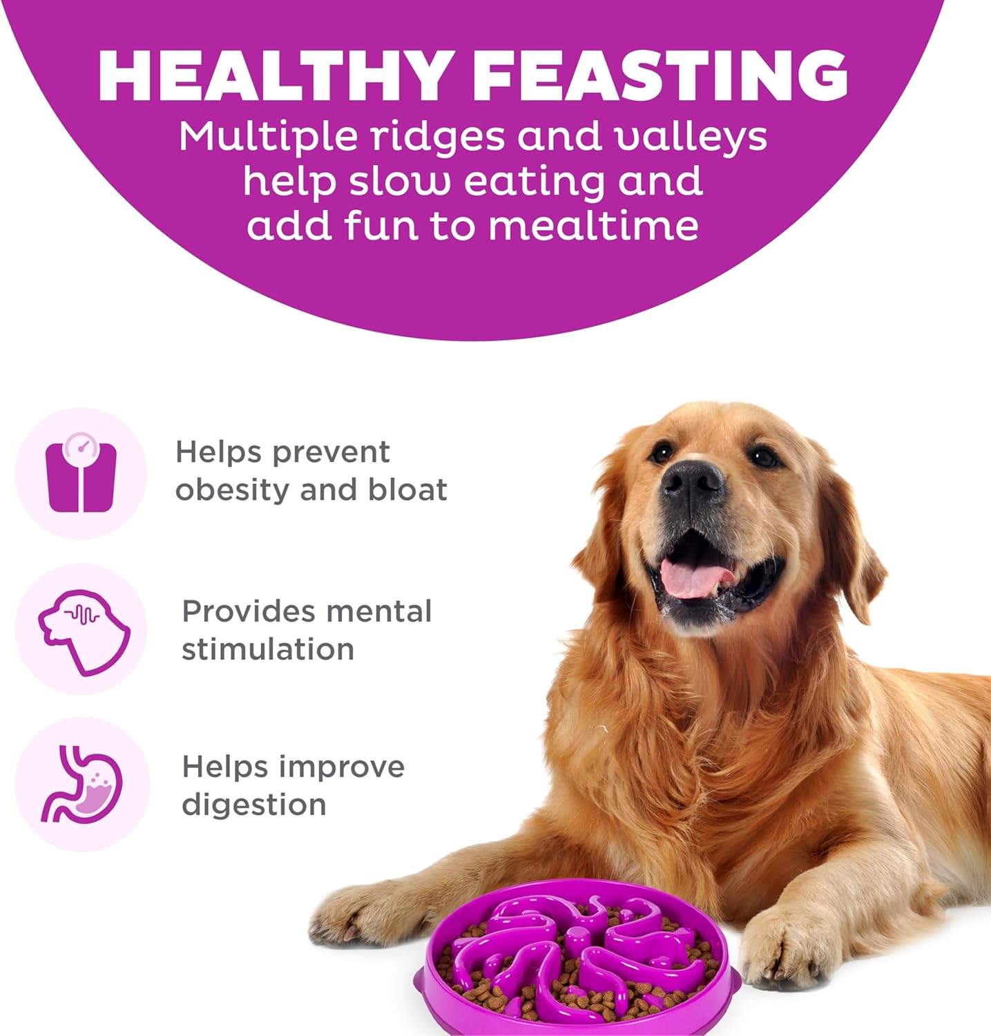 Outward Hound Fun Feeder Slo Bowl, Slow Feeder Dog Bowl, Large/Regular, Purple