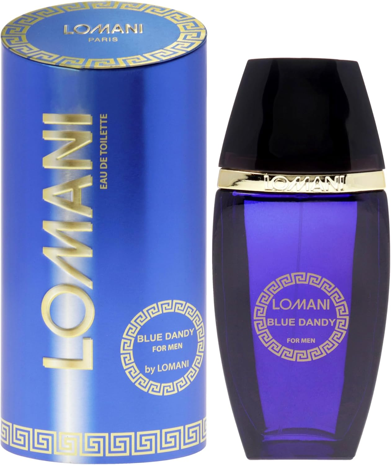 Blue Dandy by Lomani for Men - 3.3 Oz EDT Spray image number 4