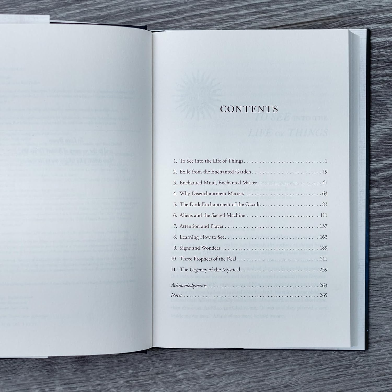 Living in Wonder: Finding Mystery and Meaning in a Secular Age image number 3