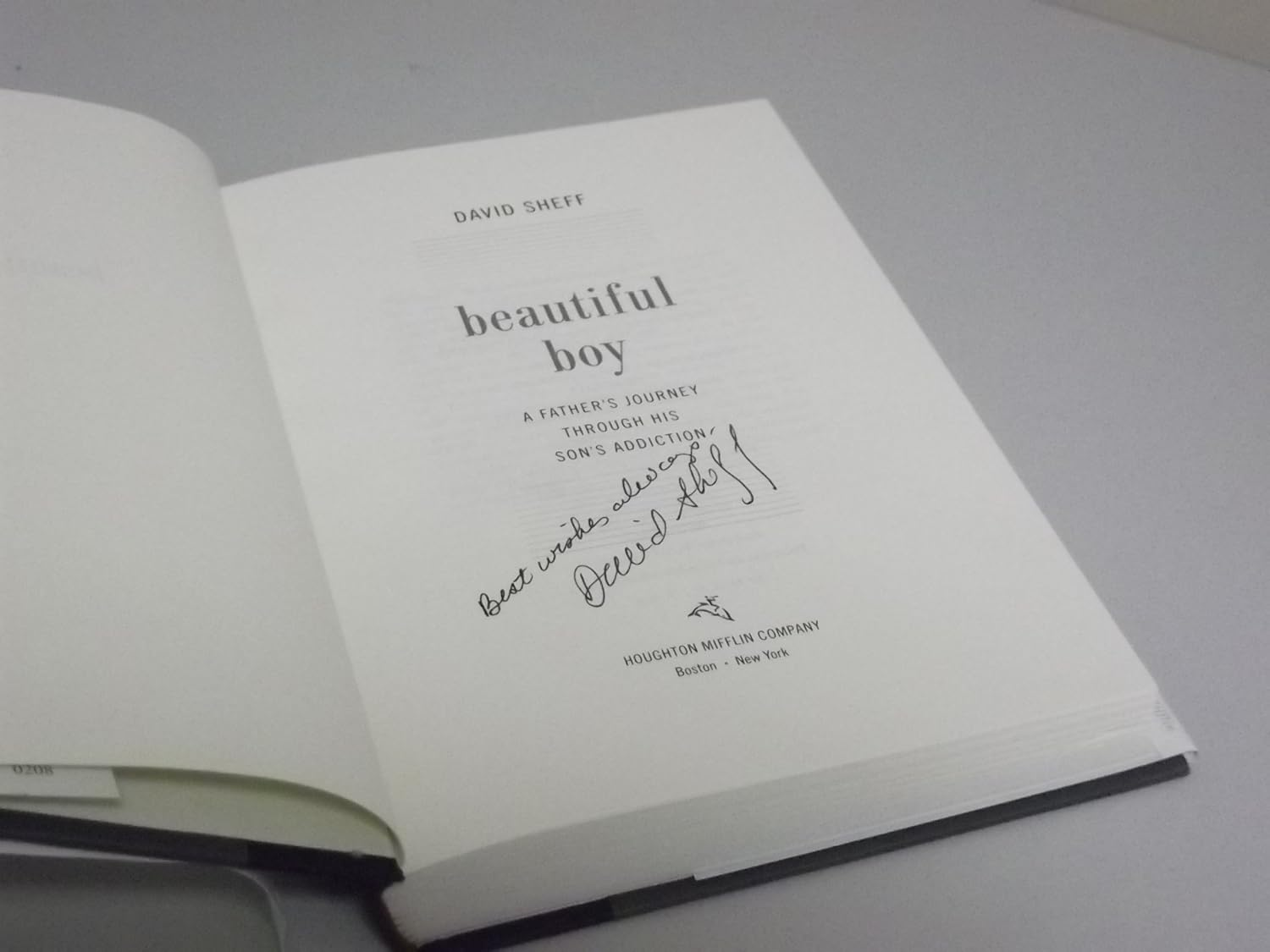 Beautiful Boy: a Father'S Journey through His Son'S Addiction image number 2