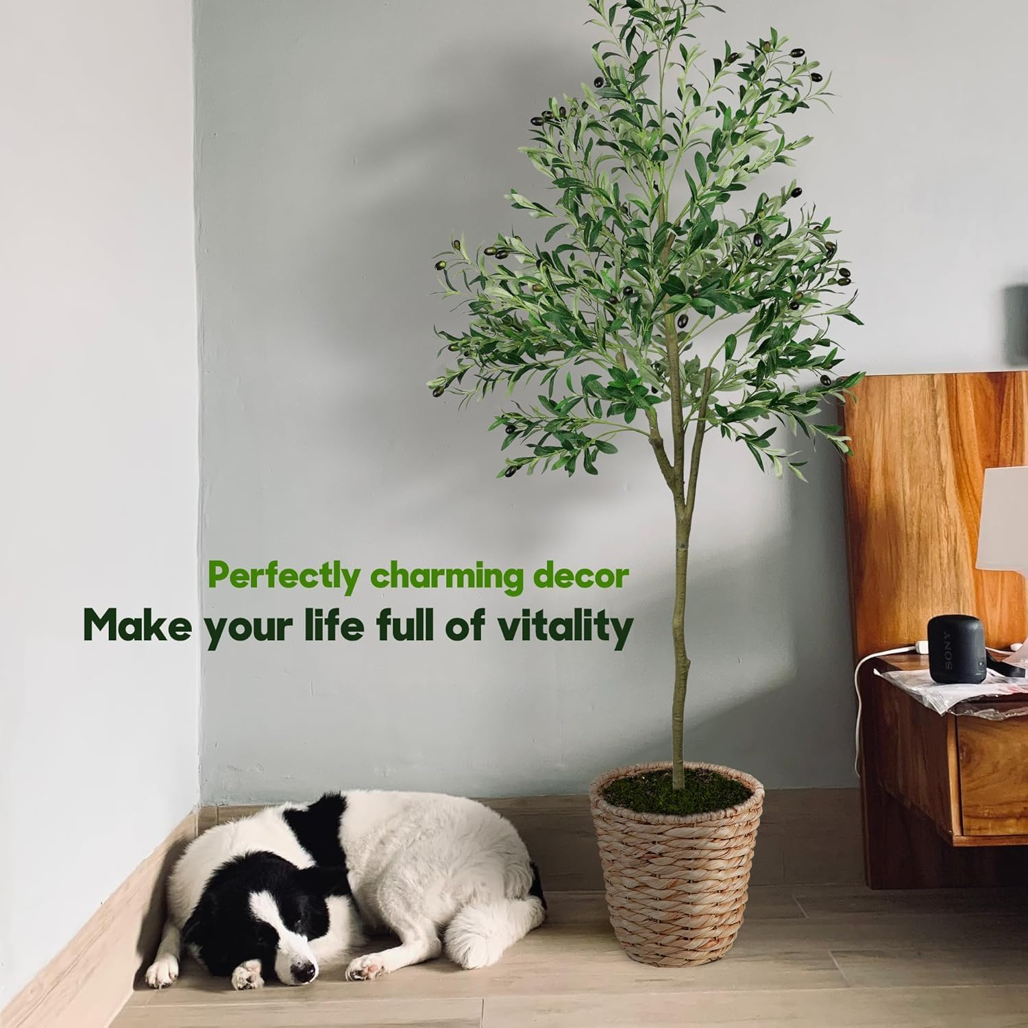 6FT Artificial Olive Tree, Faux Fake Plant for Office Home Living Room Indoor Outdoor Decor, Realistic Olive Silk Tree with Lifelike Leaves and Olive Fruits, 180Cm Modern Floor Decoration image number 3