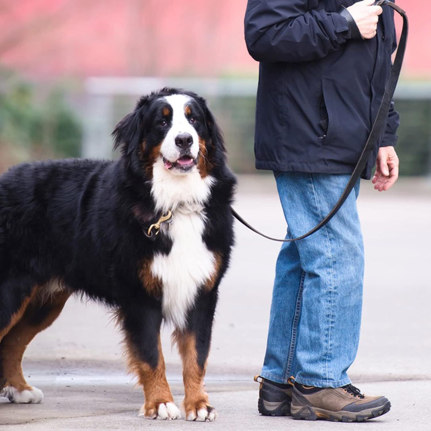 MERUOGKAR Leather Dog Leash, 5Ft X 3/4 Inch, Heavy Duty Genuine Leather Braided Dog Training Leash, Comfortable for Large, Medium, Small Dogs (Brown, 5Ft*3/4In) image number 5