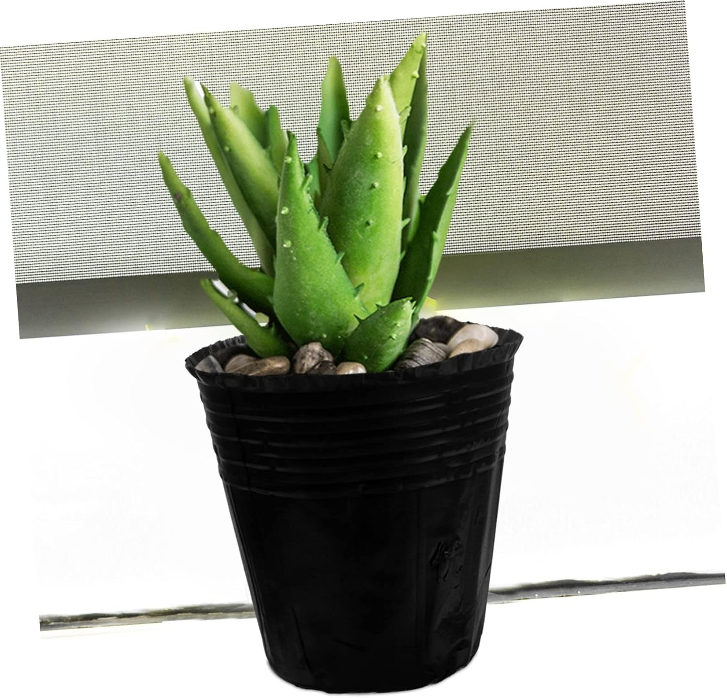 100Pcs Planting Bags Sturdy Nutrient Bags Practical Planting Cups for Growbag Seeds Sprouting Seeds Use image number 6