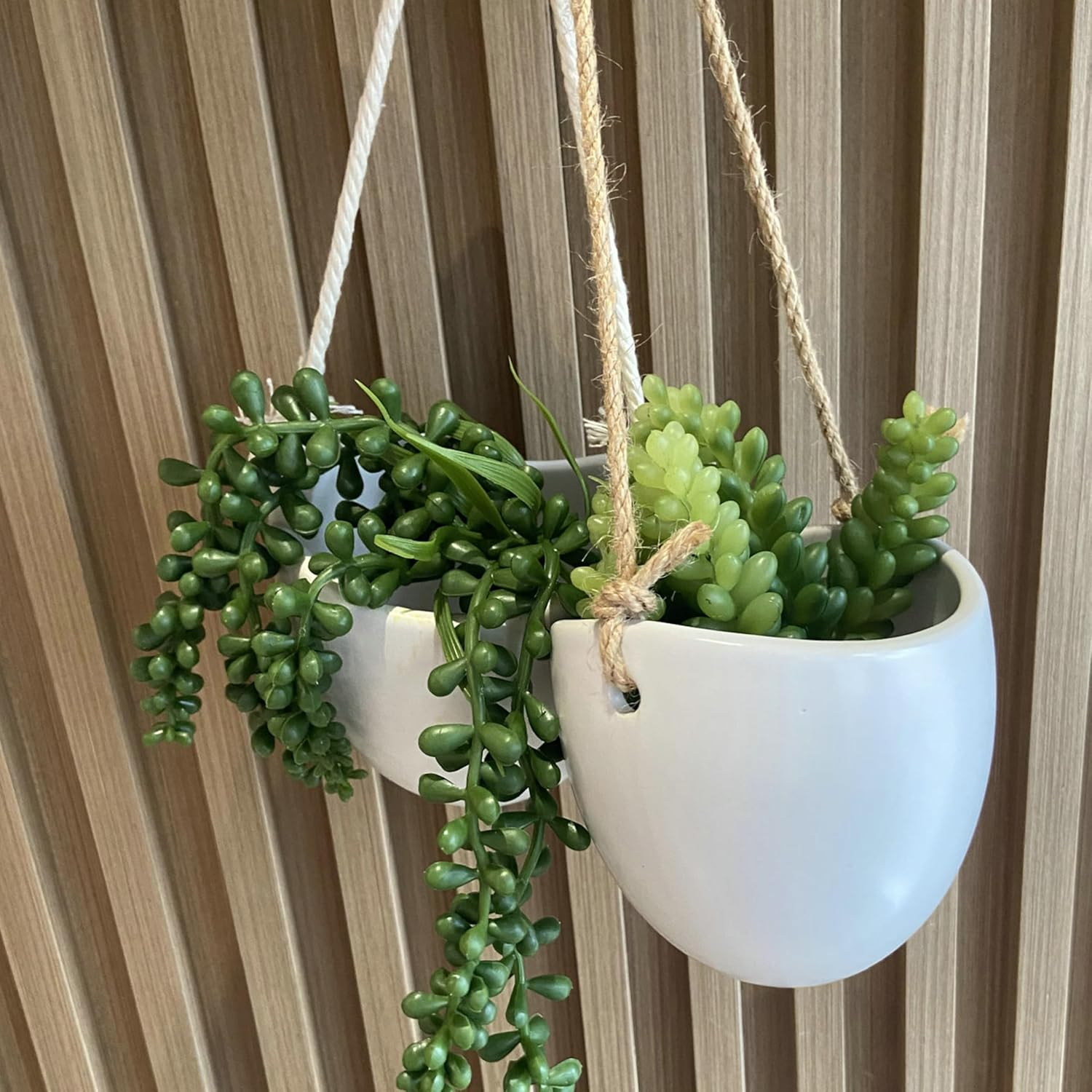ONEIN Wall Planters Hanging Ceramic Plant Pots 2 Pieces, Hanging Planter Wall Decoration for Indoors, Balcony and Garden - White (Matte) image number 1