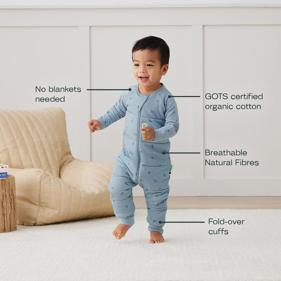 Ergopouch 3.5 Tog Sleep Onesie for 2-3 Years Kids, Dragonflies