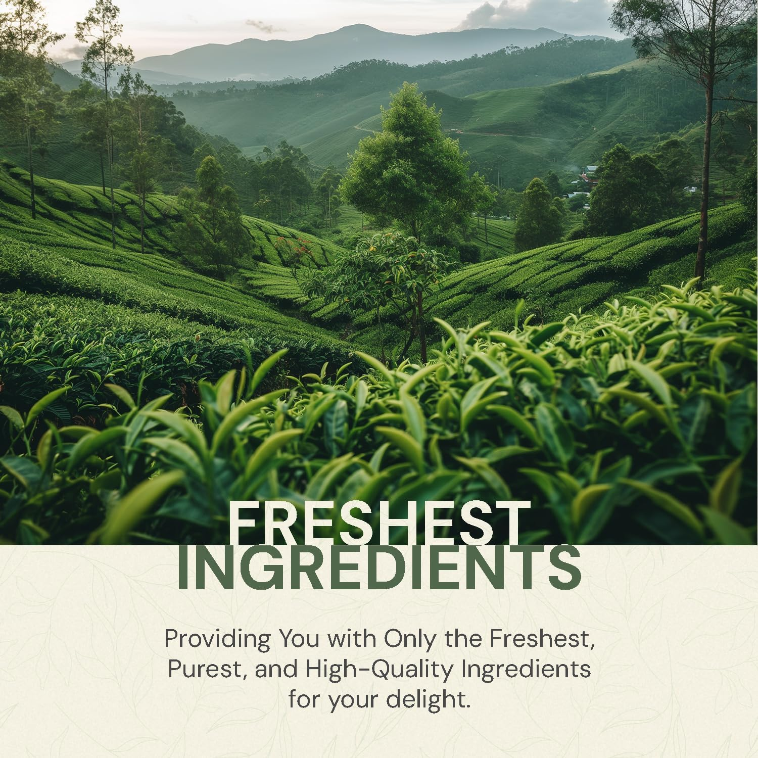 Basilur Caramel Dream - 100G Loose Leaf Ceylon Black Tea Refill Pack image number 6