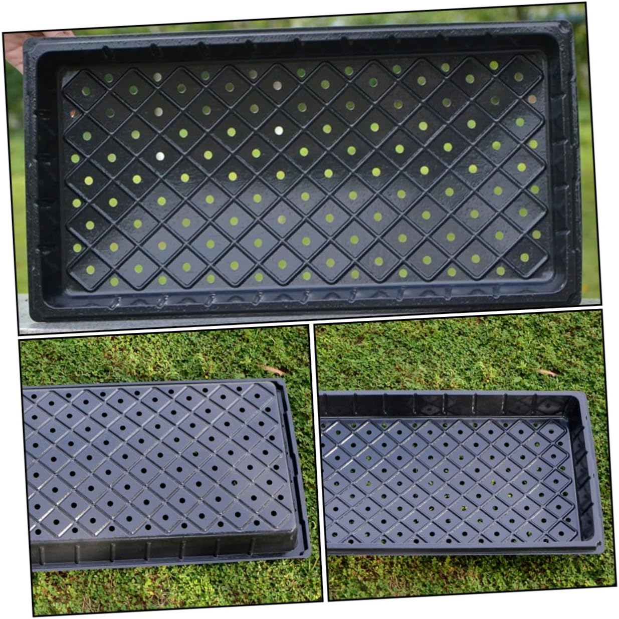 BESPORTBLE 4Pcs Seedling Tray Plugs Tray for Gardening Flower Vegetable Garden Supplies and Seedlings Pot Use image number 6