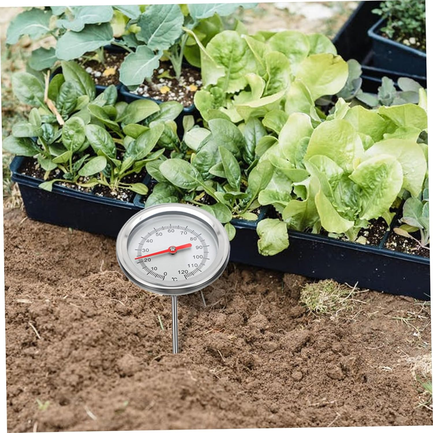 Balacoo Stainless Steel Compost Thermometer Probe with Scale Soil Temperature Gauge for Gardening Accurate Measurement C to C image number 6