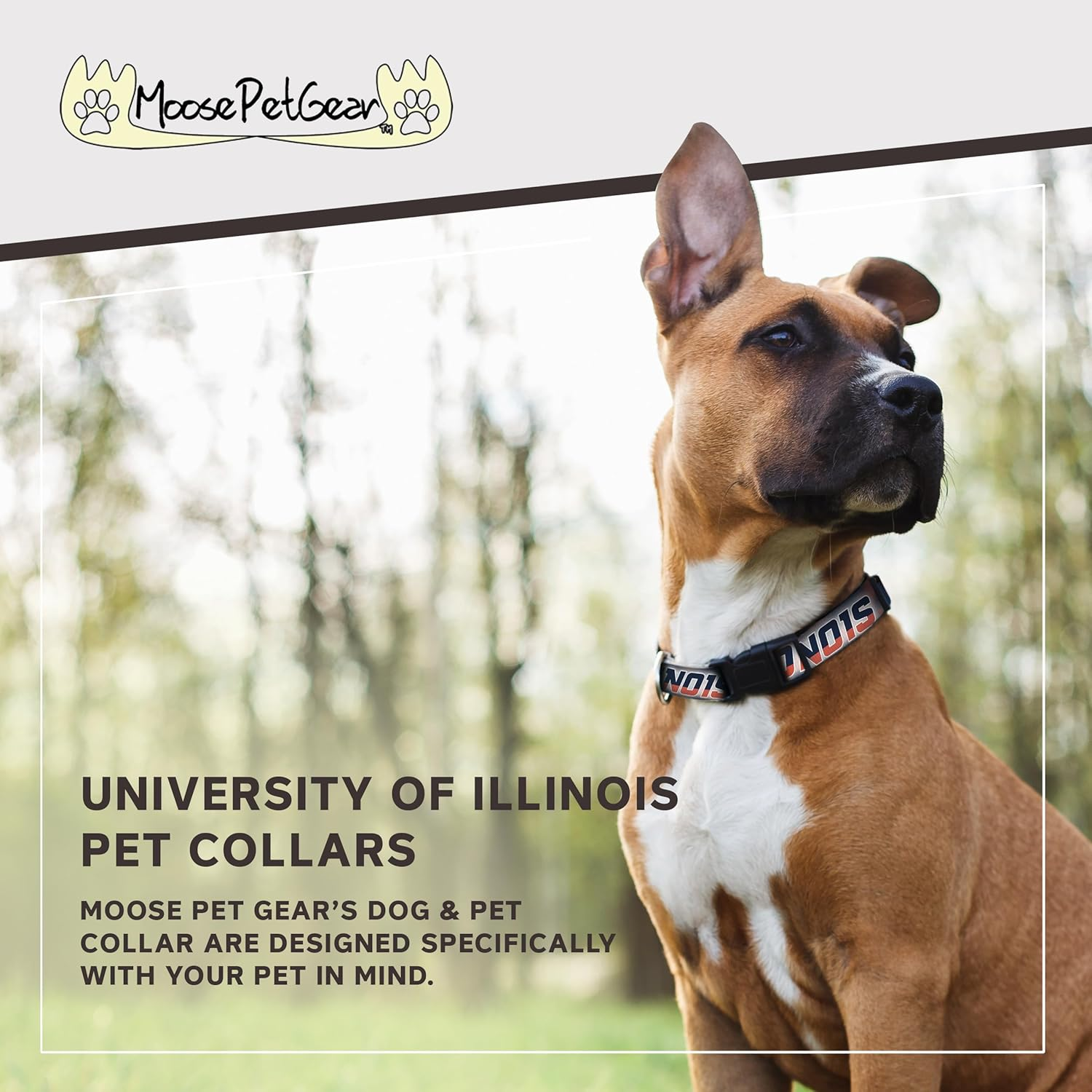 Moose Pet Wear Dog Collar &ndash; University of Illinois Adjustable Pet Collars, Made in the USA &ndash; 1 Inch Wide, Medium, Smoke image number 3