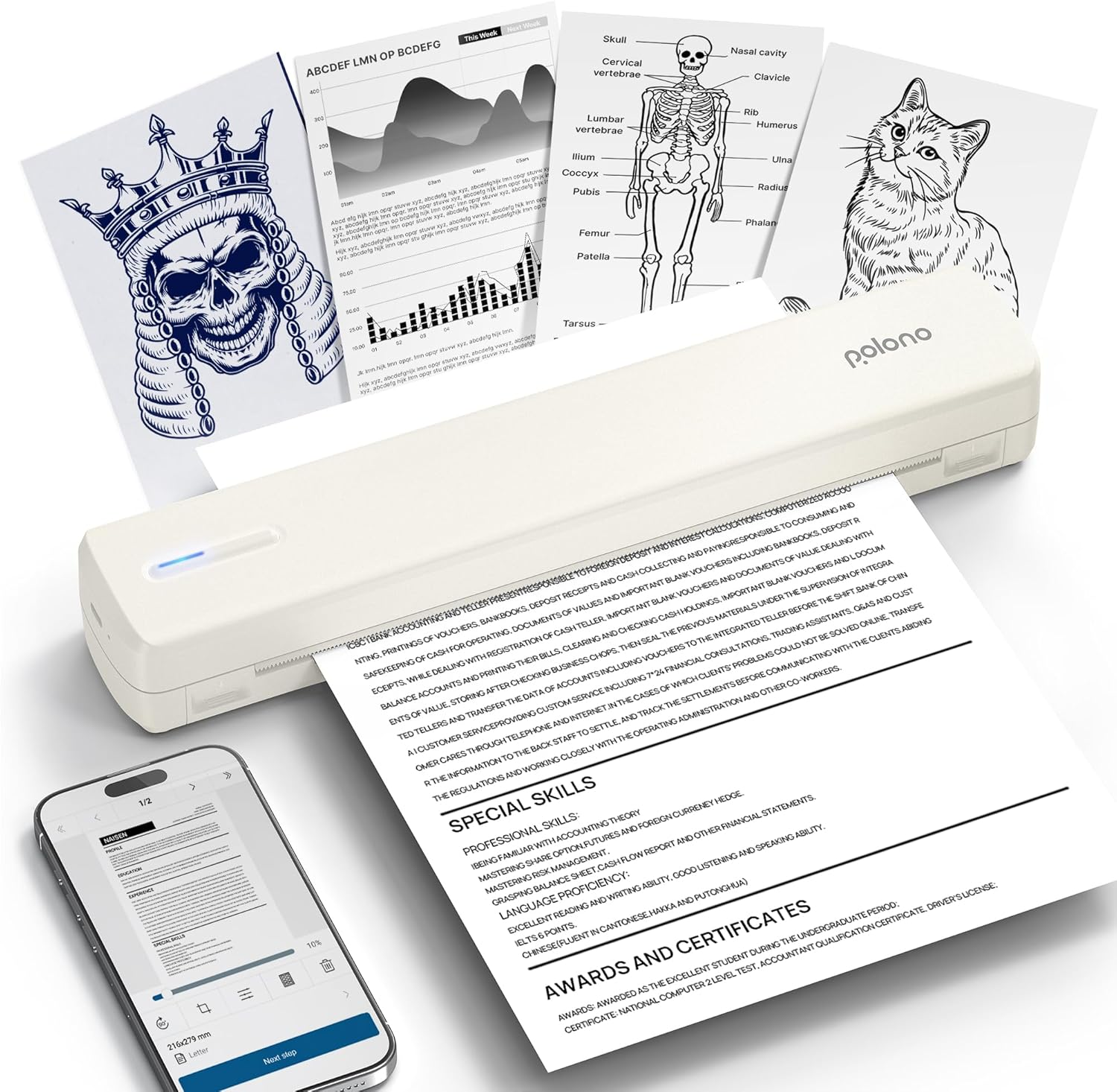 POLONO Portable Printer, D810 Inkless Bluetooth Thermal Printer Wireless for Travel, Compatible with Ios, Android, Laptop, Supports 8.5"X11" US Letter for Office, Car, Home, Black