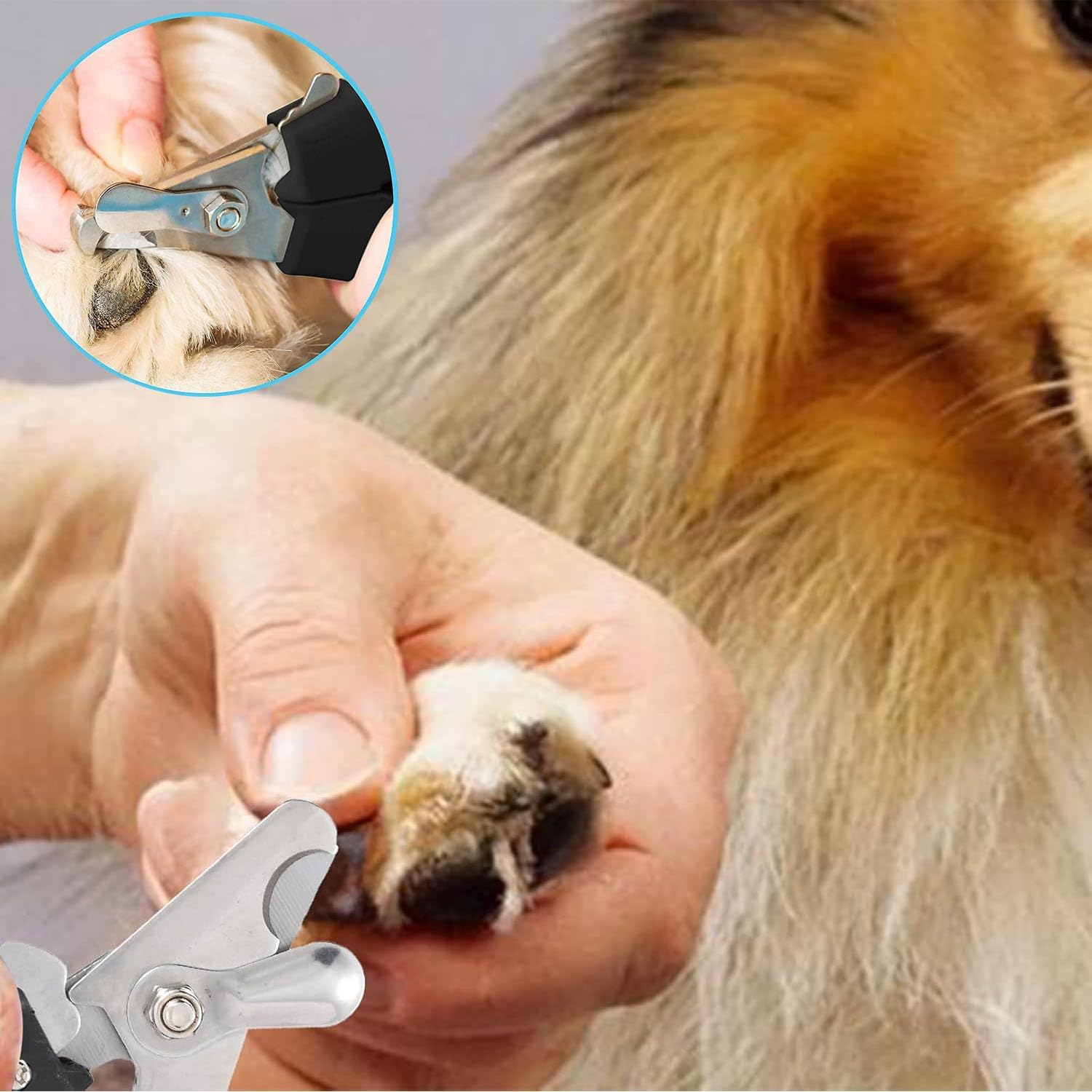 Paifeancodill Dog Nail Clippers, 2 Pack Pet Nail Trimmer Clipper Set with 2 Nail Files,Professional Pet Nail Clipper & Trimmers with Safety Guard to Avoid over Cutting,Grooming Razor with Nail File image number 4