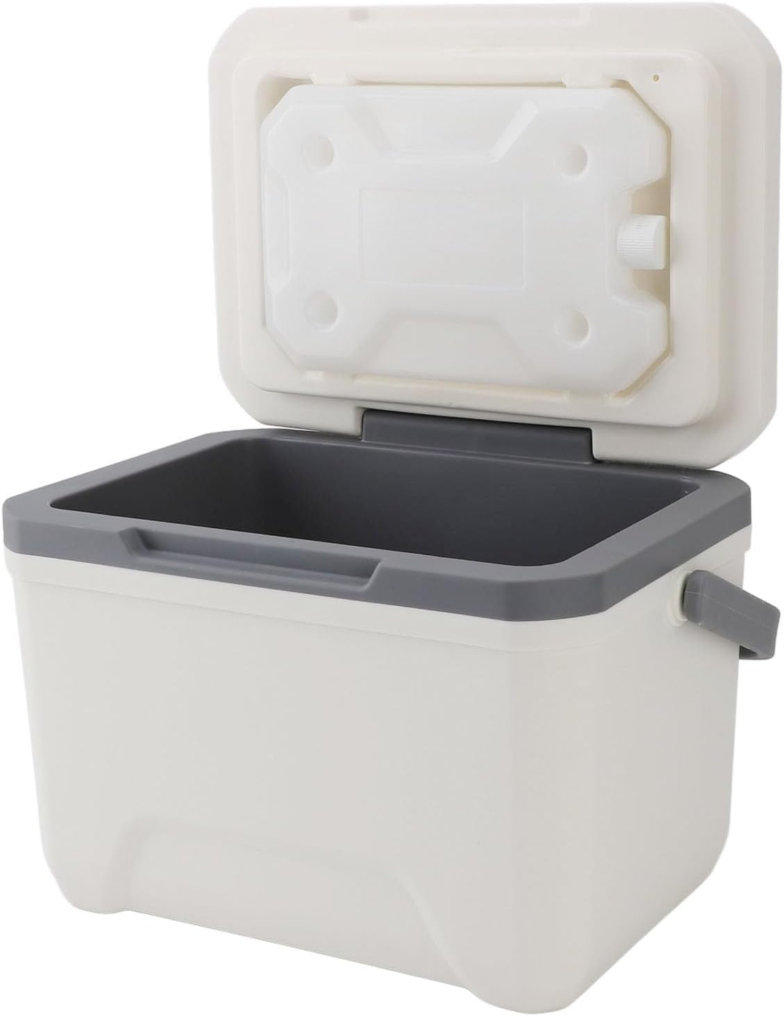 Insulated Portable Cooler, 6L Hard Cooler Car Cooler with Handle, Lightweight Ice Chest Box for Beach Outdoor Camping BBQ Picnic, Hard Camping Cooler Outdoor Cooler, Large Capacity image number 6