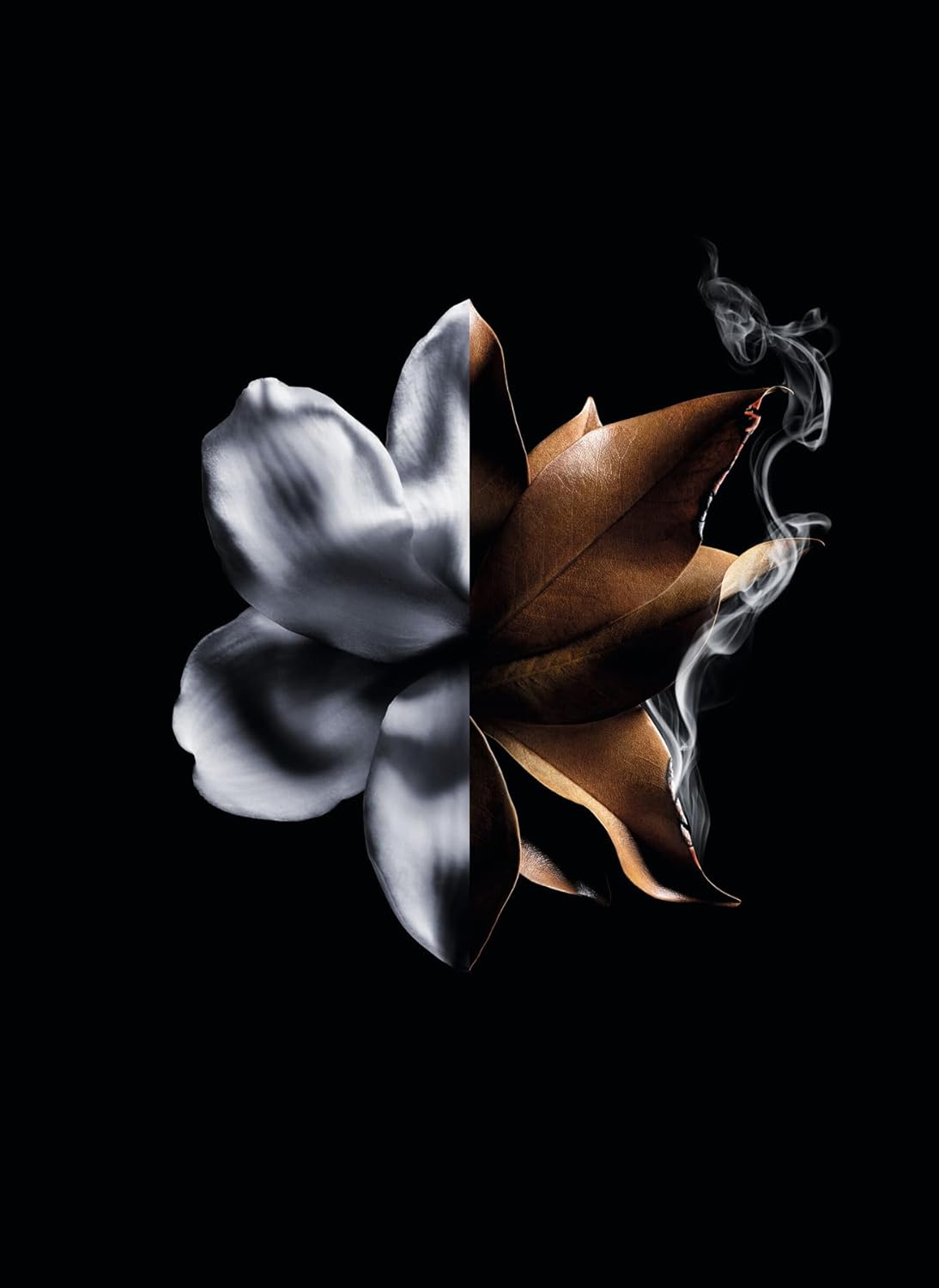 Linterdit Absolu Intense by Givenchy for Women - 2.7 Oz EDP Spray image number 1