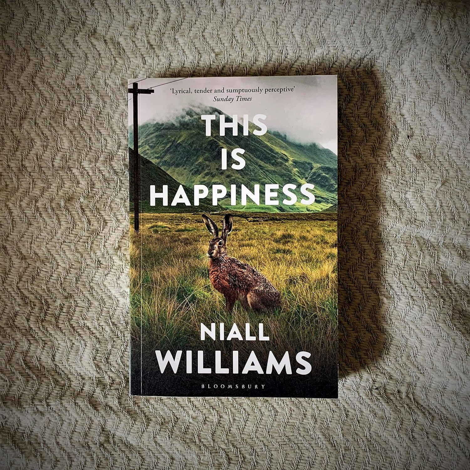 This Is Happiness image number 1