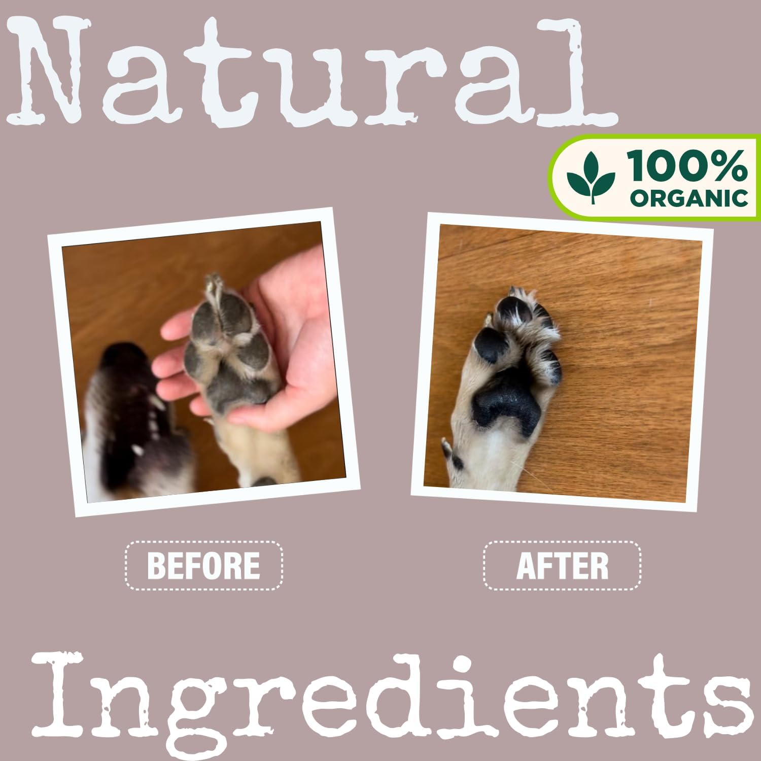 Organic Dog Nose & Paw Balm Paw Protector | Paw Balm for Dogs | Dog Paw Moisturiser Dog Paw Balm Moisturises and Conditions and Relieves Dry and Cracked Pads (30 ML) image number 1