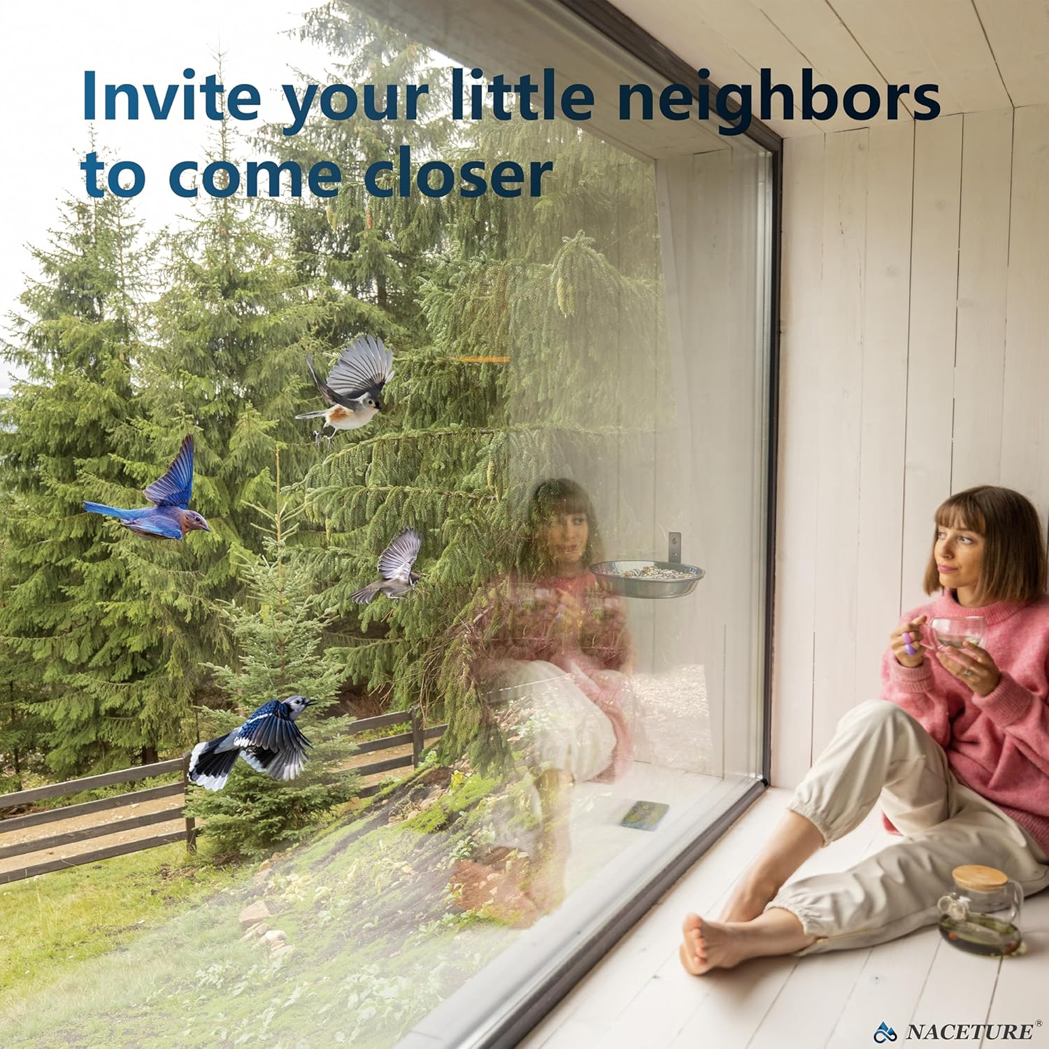 2 Pack 8 Inch Bird Feeders and Squirrel Feeder outside Hanging Tree Mounted &ndash;Bird Feeding Station Water Bowl for Wall Mounted, Bird Feeder Kit Stainless Steel Bowl for Outdoor Fence, Deck