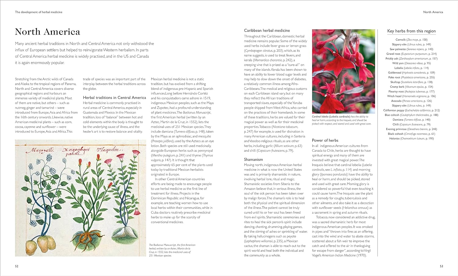 Encyclopedia of Herbal Medicine New Edition: 560 Herbs and Remedies for Common Ailments