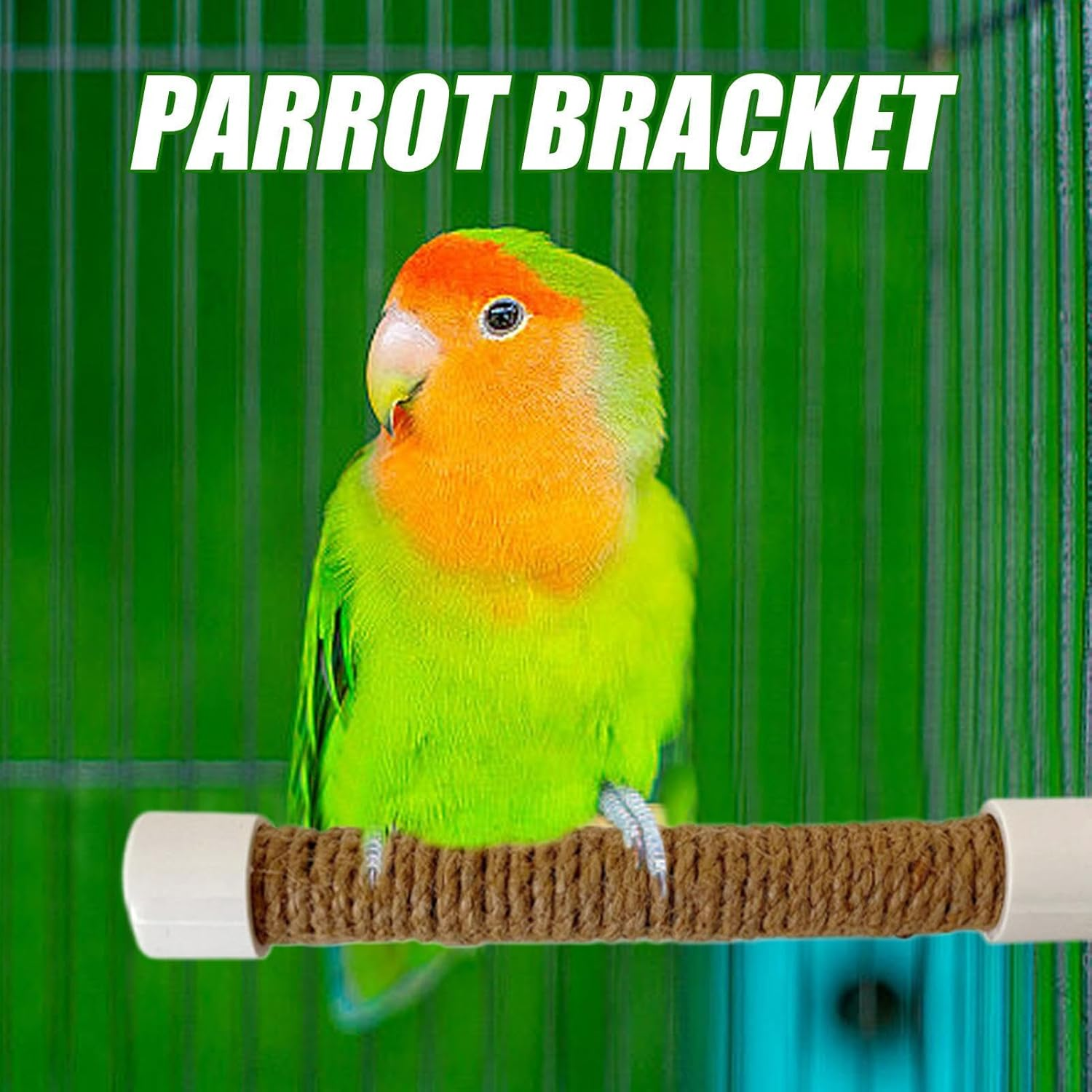 Parrot Shower Perch | Parakeet Training Stand - Suction Cup Portable Perch Cage Accessories for Bird Macaw Parakeet for Window Car Bath Training Uses image number 5