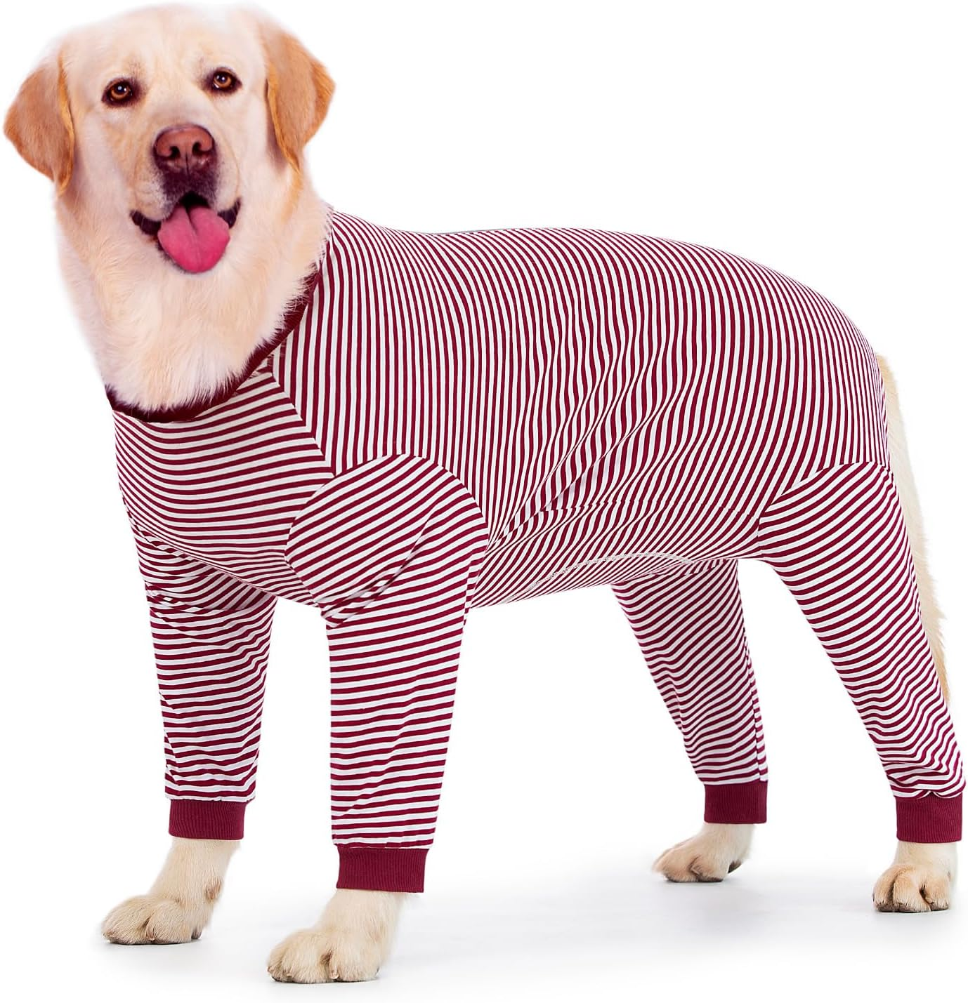 Axcimond Dog Bodysuit with Legs for Large and Medium Dogs Surgical Body Dog Castration Male Dog Bodysuit after Surgery with Zip Dog Onesie Full Body Leak Protection Dog Collar Alternative