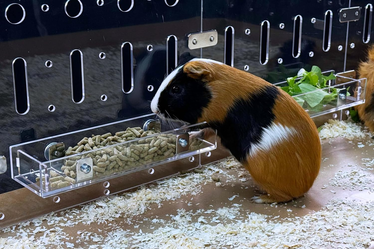 Guinealoft&trade; Food Feeder Yellow - Say Goodbye to Traditional Bowls! Ultimate Feeder for Small Pets like Guinea Pigs, Rabbits and Chinchillas. Designed & Made by Seasoned Owners - Guinealoft Exclusive