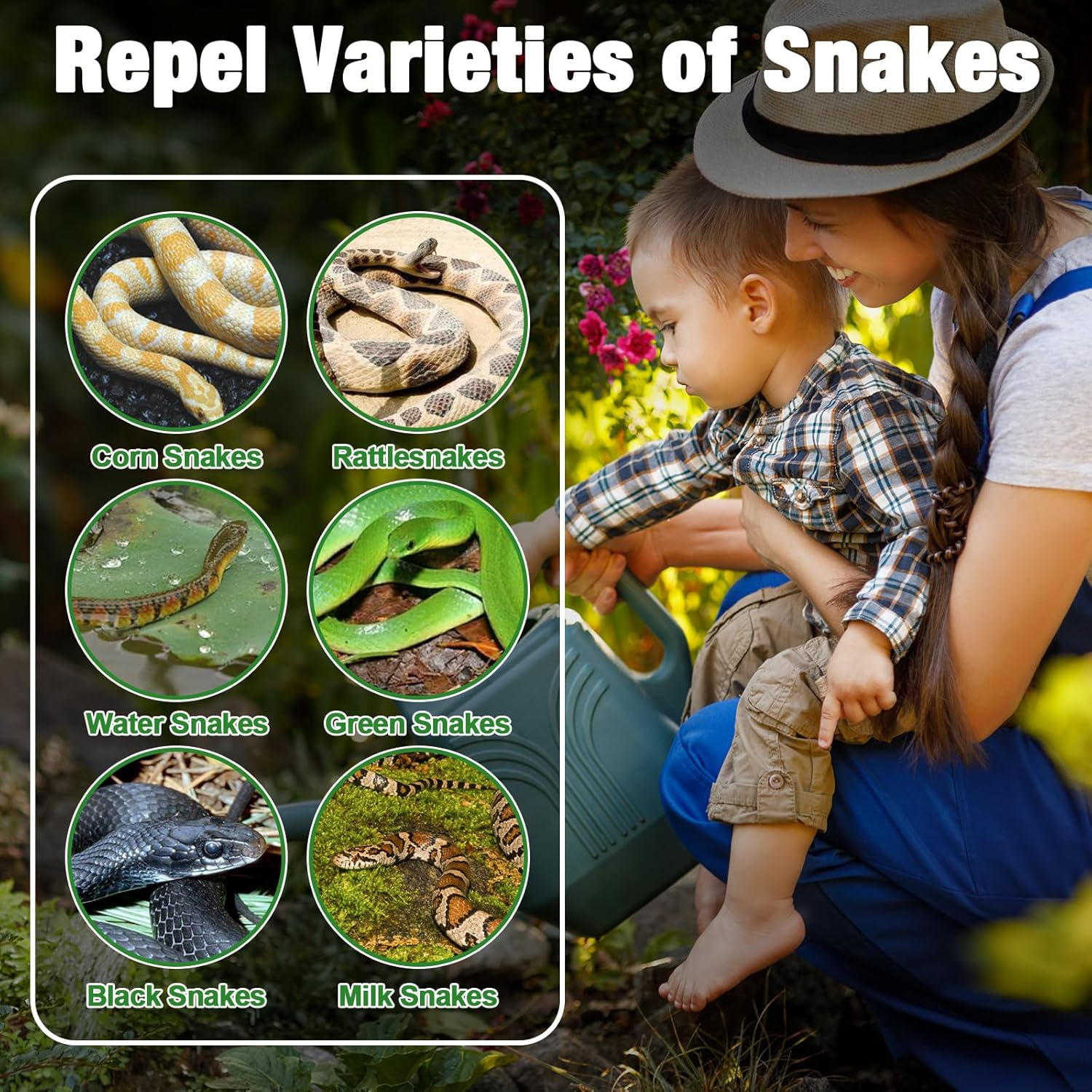 Snake Repellent for Yard Powerful, 4 Pack Snake Away Repellent for Outdoor Indoor, Pet Safe Snake Repellent for House Yard Garden Porch Garage Camping image number 3