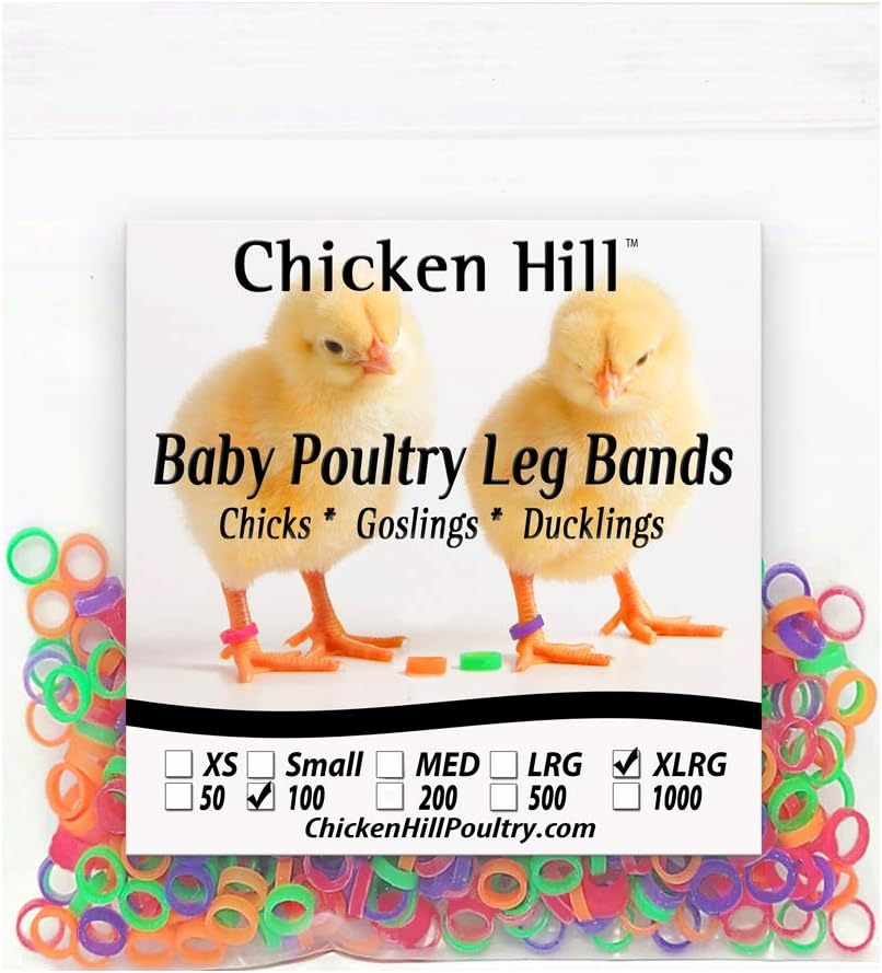 Baby Poultry Chick Leg Bands Size 6 Xlarge (100) image number 1