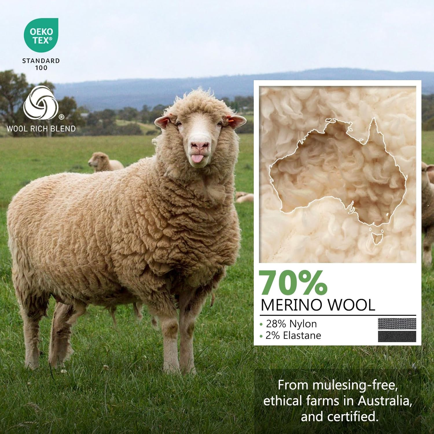 Merino Protect Thin Merino Wool Crew Sock for Men Women Lightweight Hiking Socks Soft Mid Calf Dress Socks 4 Pack image number 3