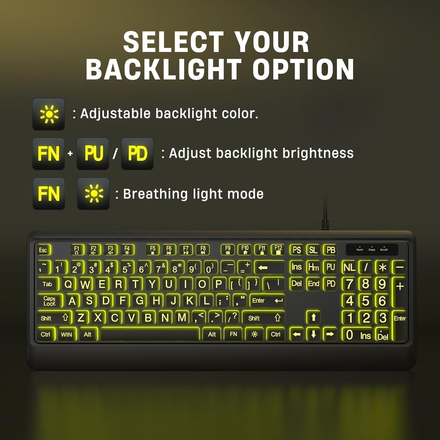 BERGUF Large Print Backlit Keyboard, Wired USB Lighted Computer Keyboards with 7-Color Backlit, Oversize Letters Keys Easy to See and Type, Quiet Keyboard Compatible for PC, Laptop (Large)