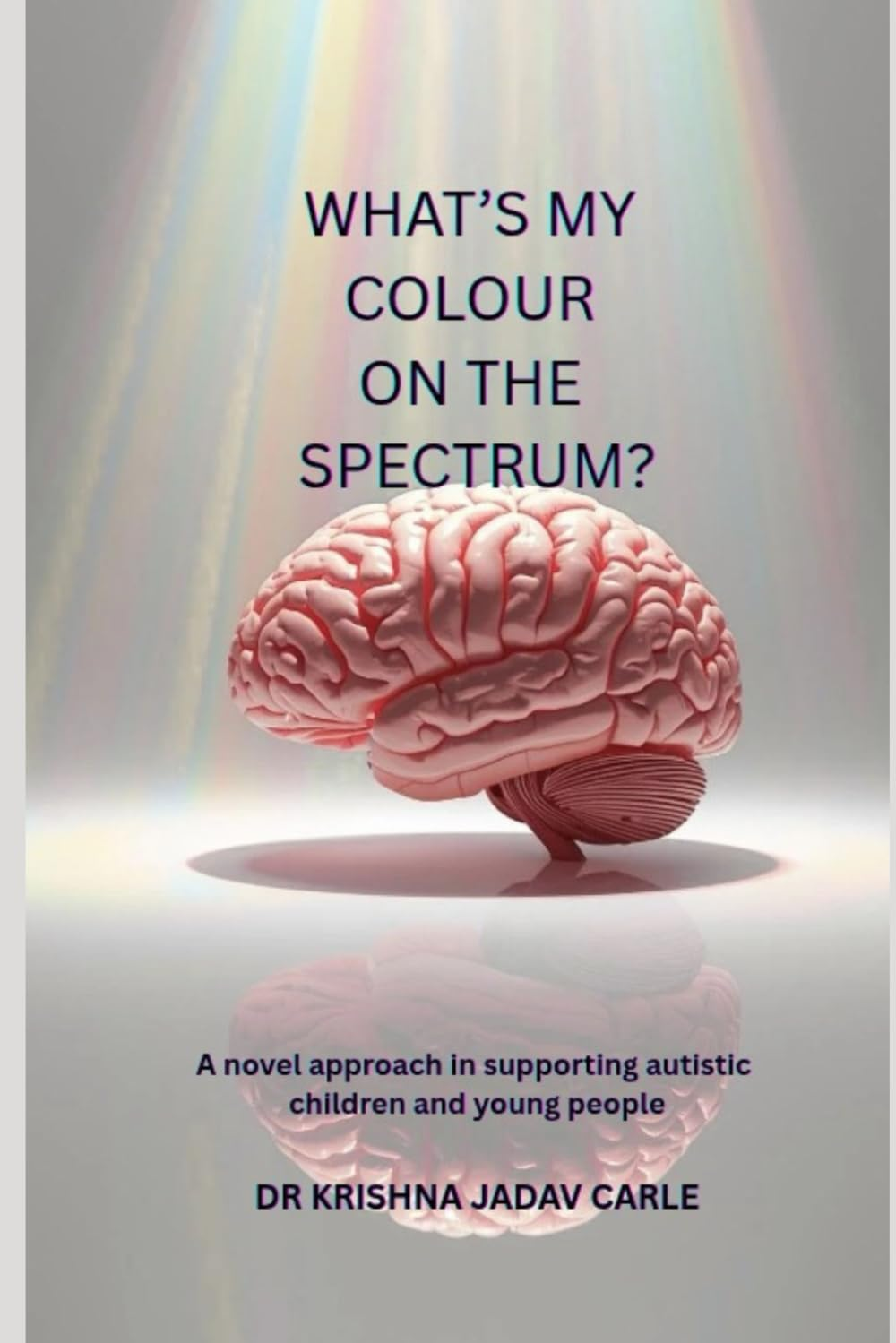 What'S My Colour on the Spectrum?: a Novel Approach in Supporting Autistic Children and Young People