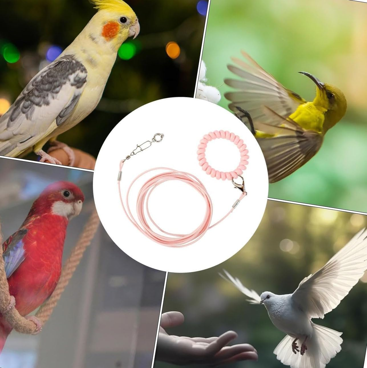 Bird Training Rope with Ankle Ring, Adjustable Harness, Biting-Resistant Toy with Ankle Foot Ring, Bird Pet Outdoor Flying Training Rope for Terrace (Pink) image number 3