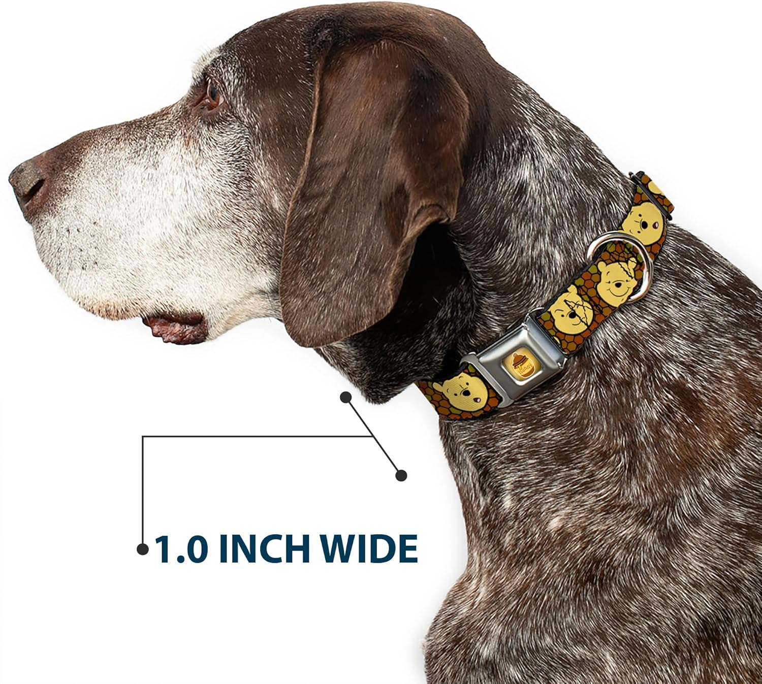 Buckle-Down DC-WDY273-L DYHP Hunny Pot Full Color Black/Browns Dog Collar, Large/15-26 image number 2